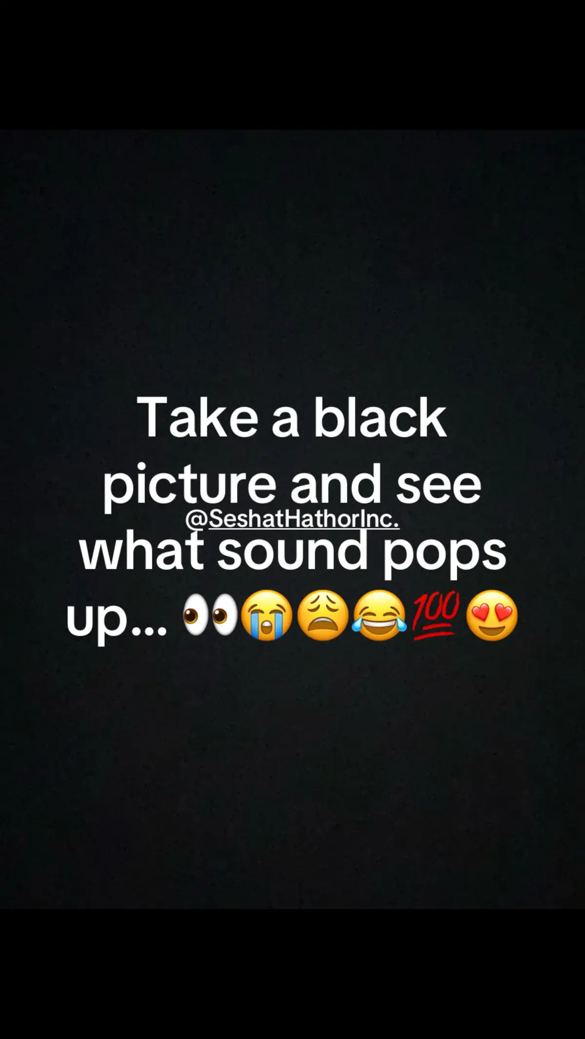 @Netta Renee
