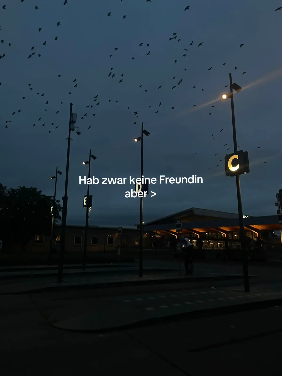 @der_deutsche_aus_47