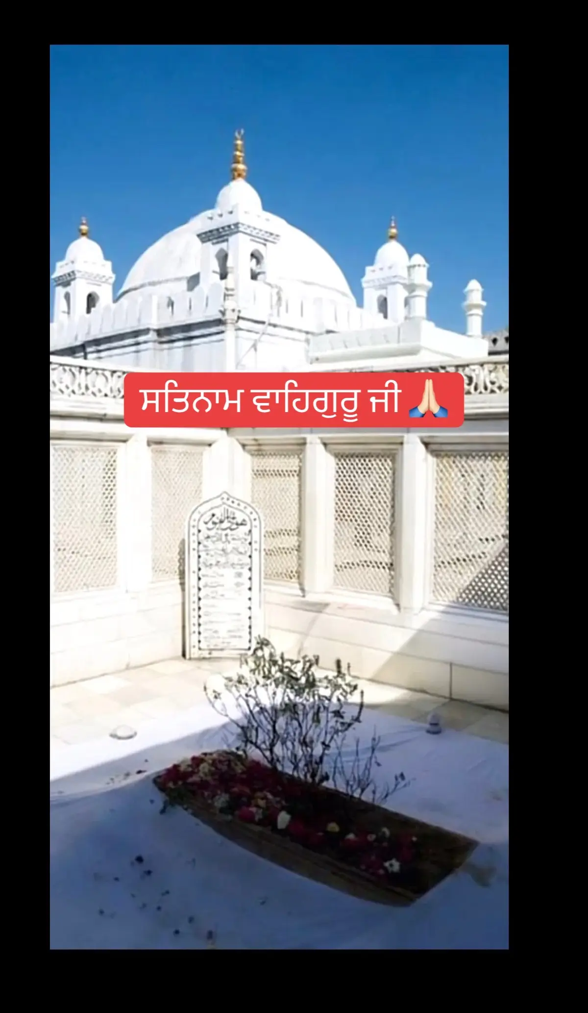 @Anna Ghotra