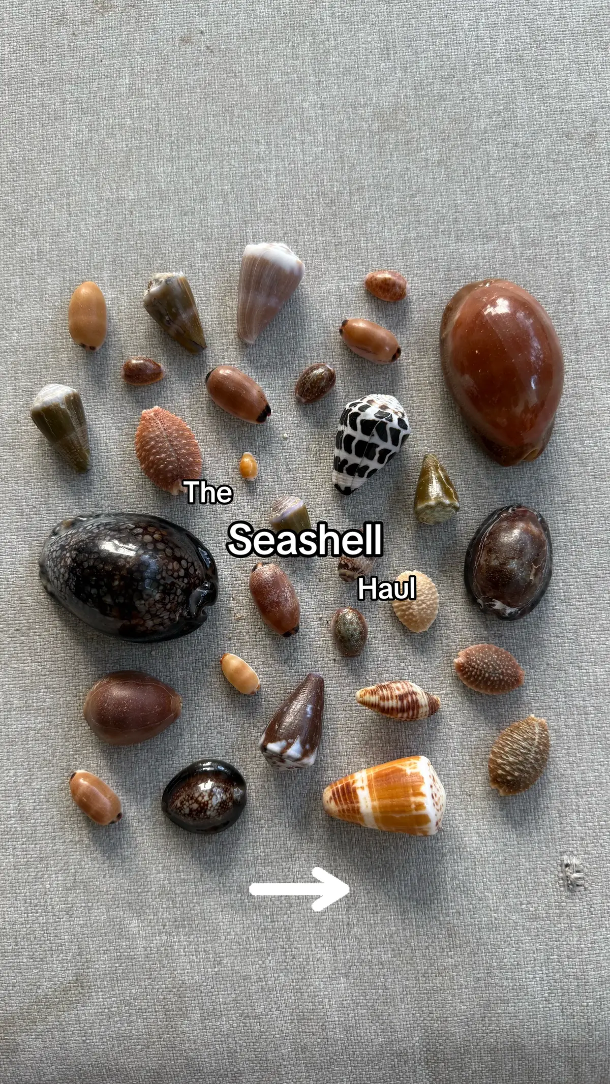 @hishellguy