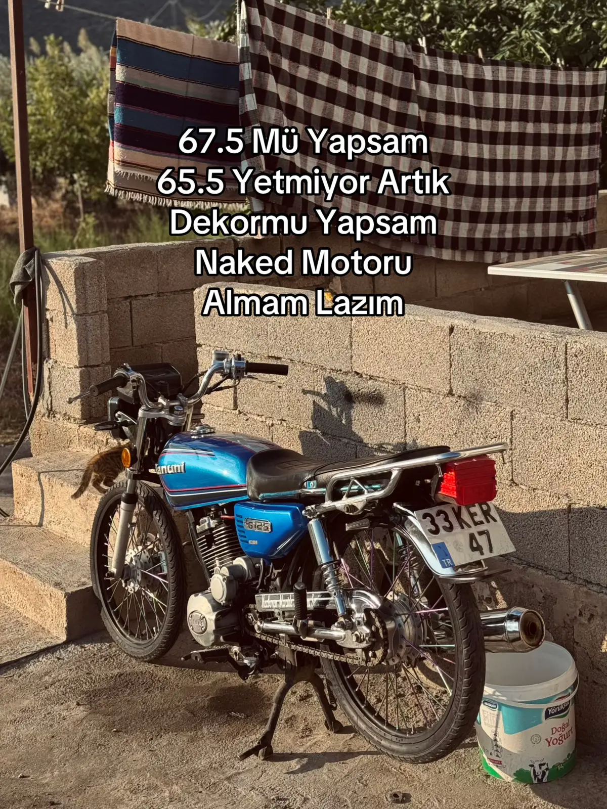 @kutlubulut0