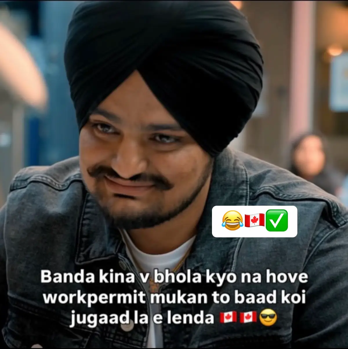 @vehlijanta761