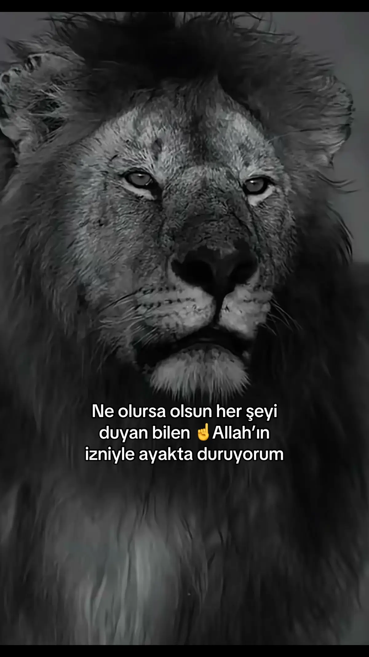 @çılgın 🚴♂️🇹🇷🫡
