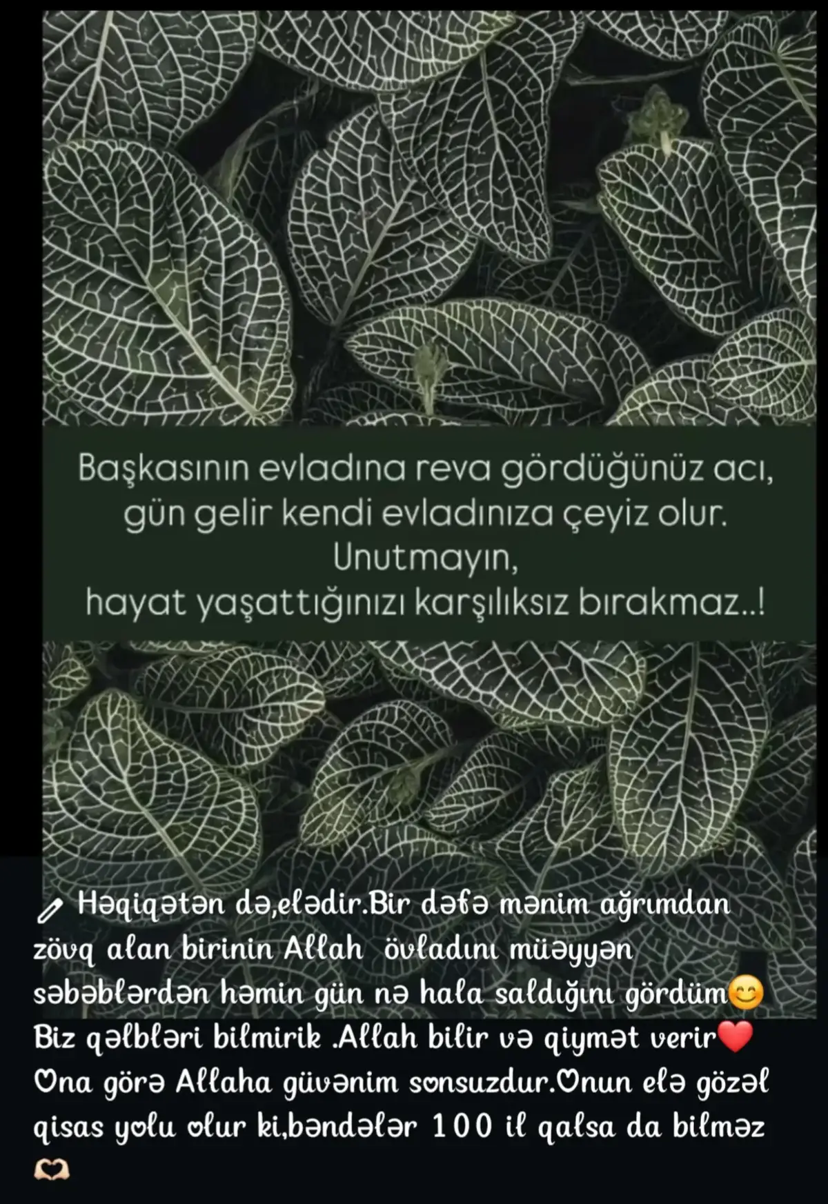 @Mommy.ofSema ❤️🩵Səma & Səid