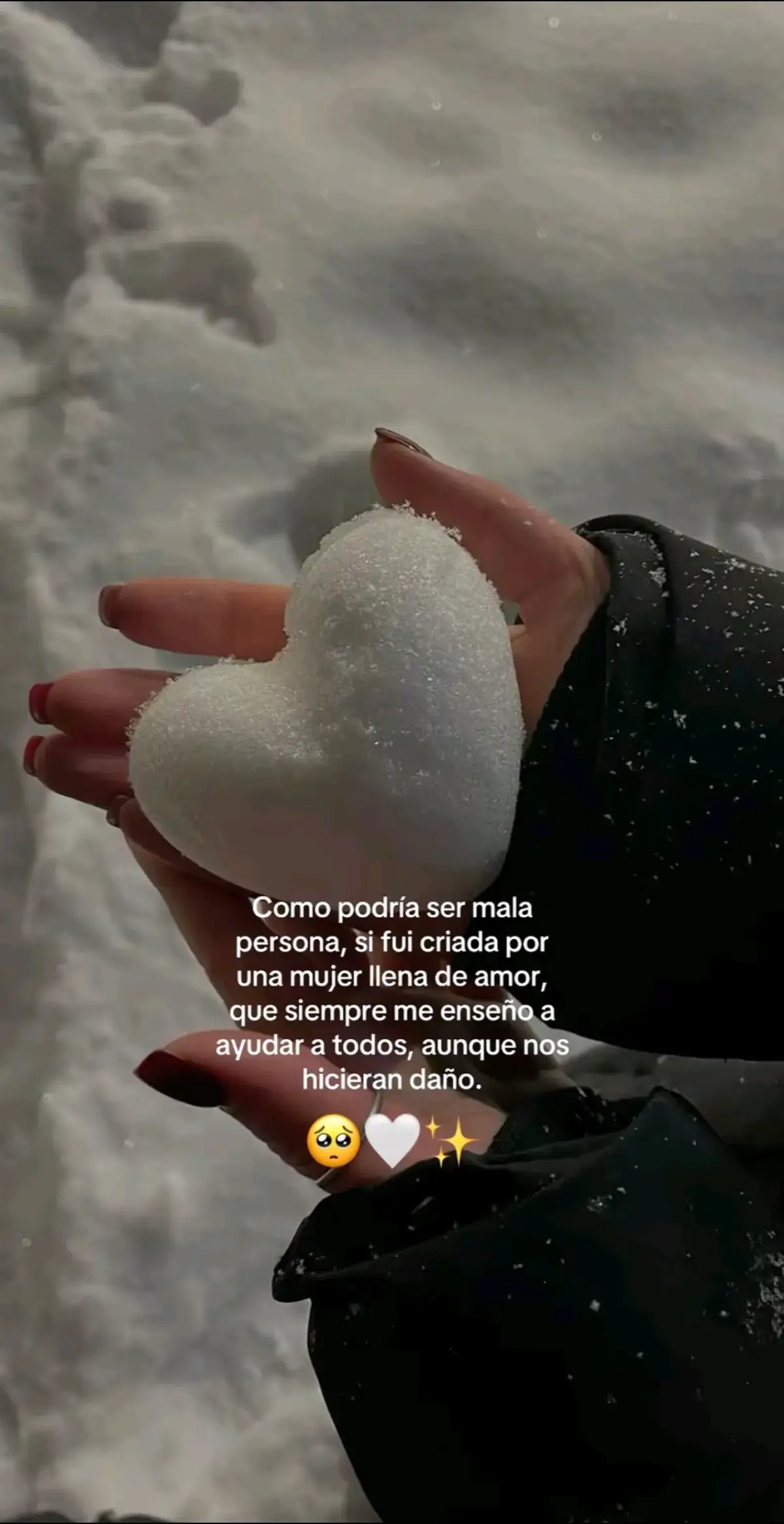 @sindryta