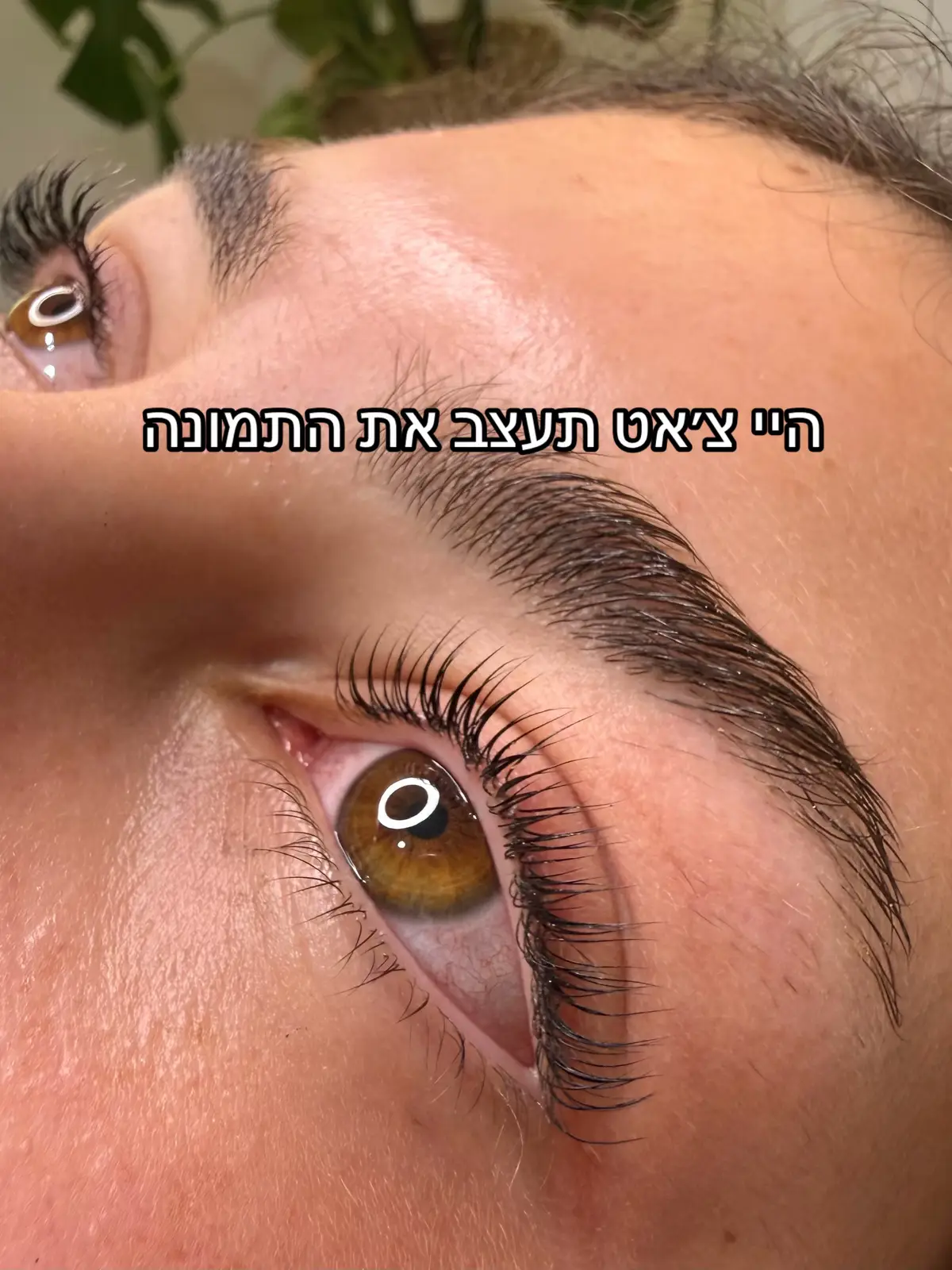 @Lital Sheli Cosmetics