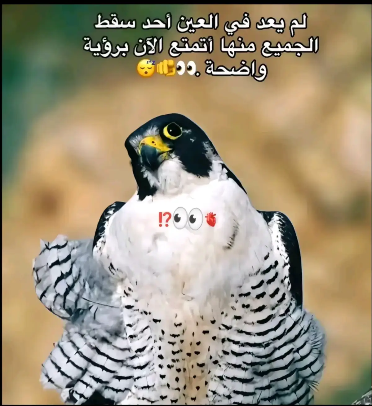 @حاجه تشرفك ان Hamoيعرفك😉