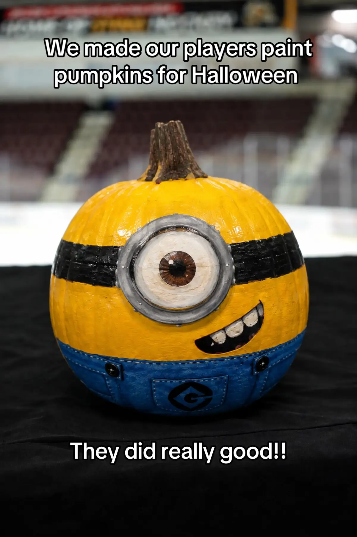 @Sarnia Sting