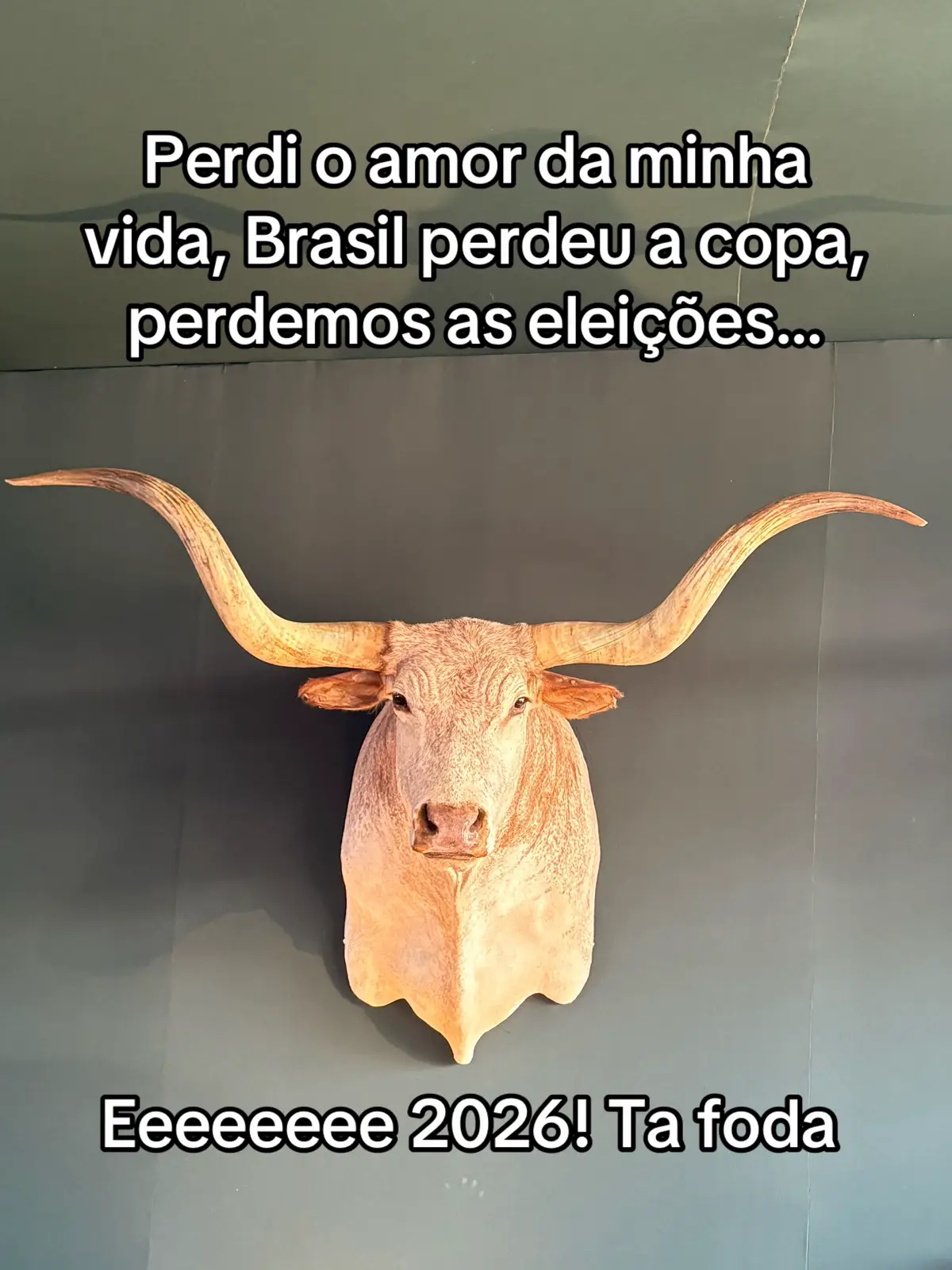 @pedroorzia_