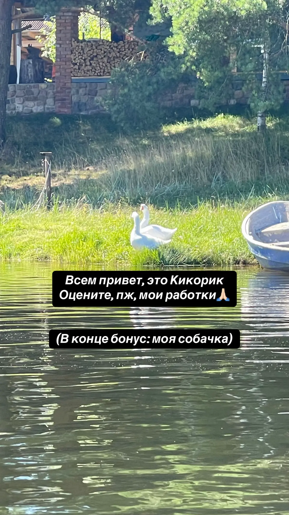 @Кикорик