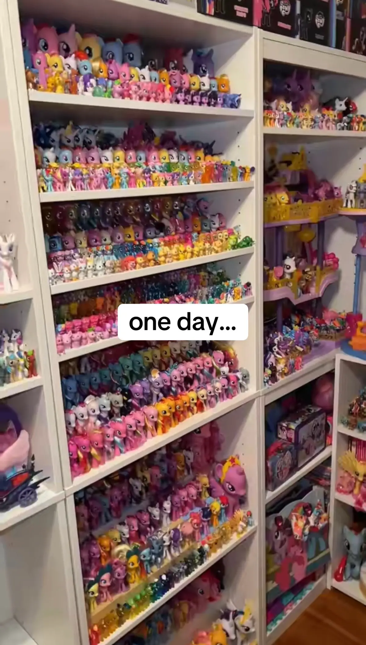 @MLPkingdom
