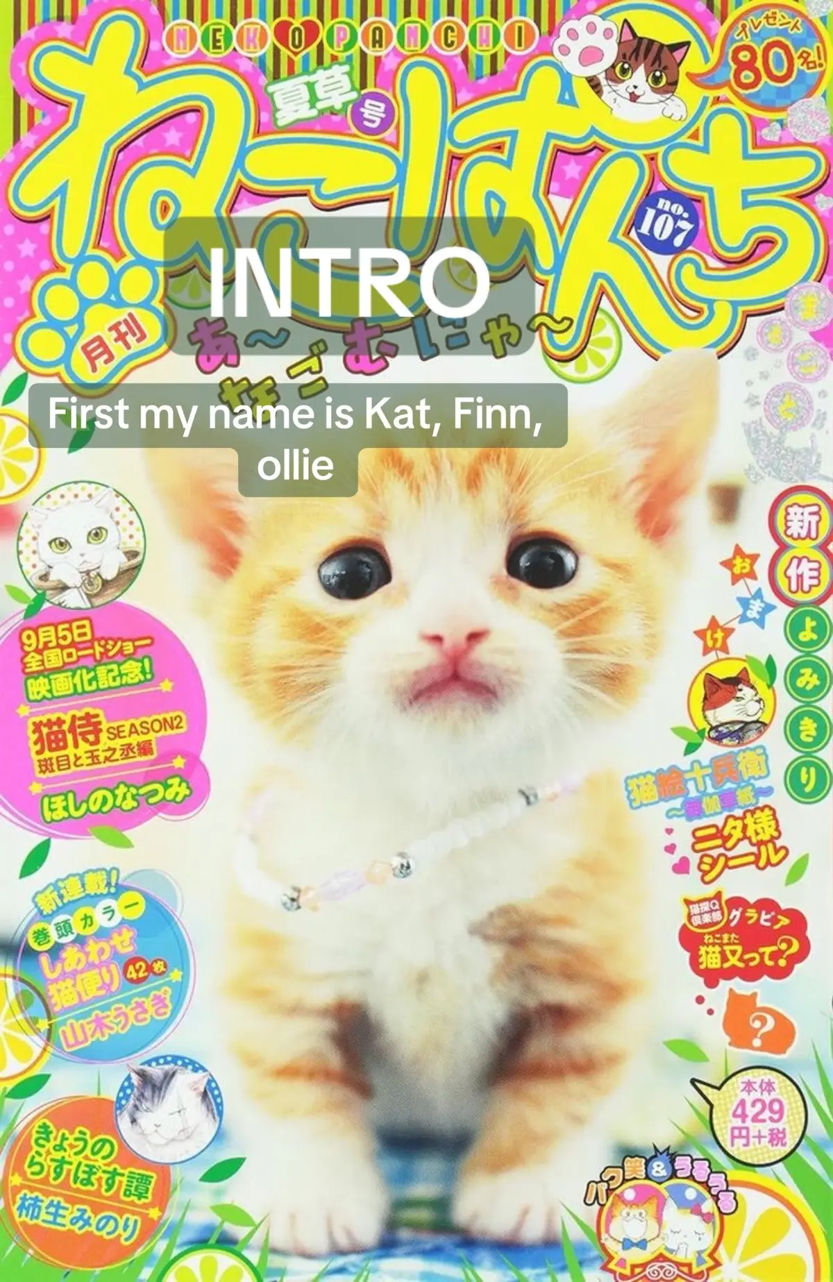 @Kathrynzside🐈