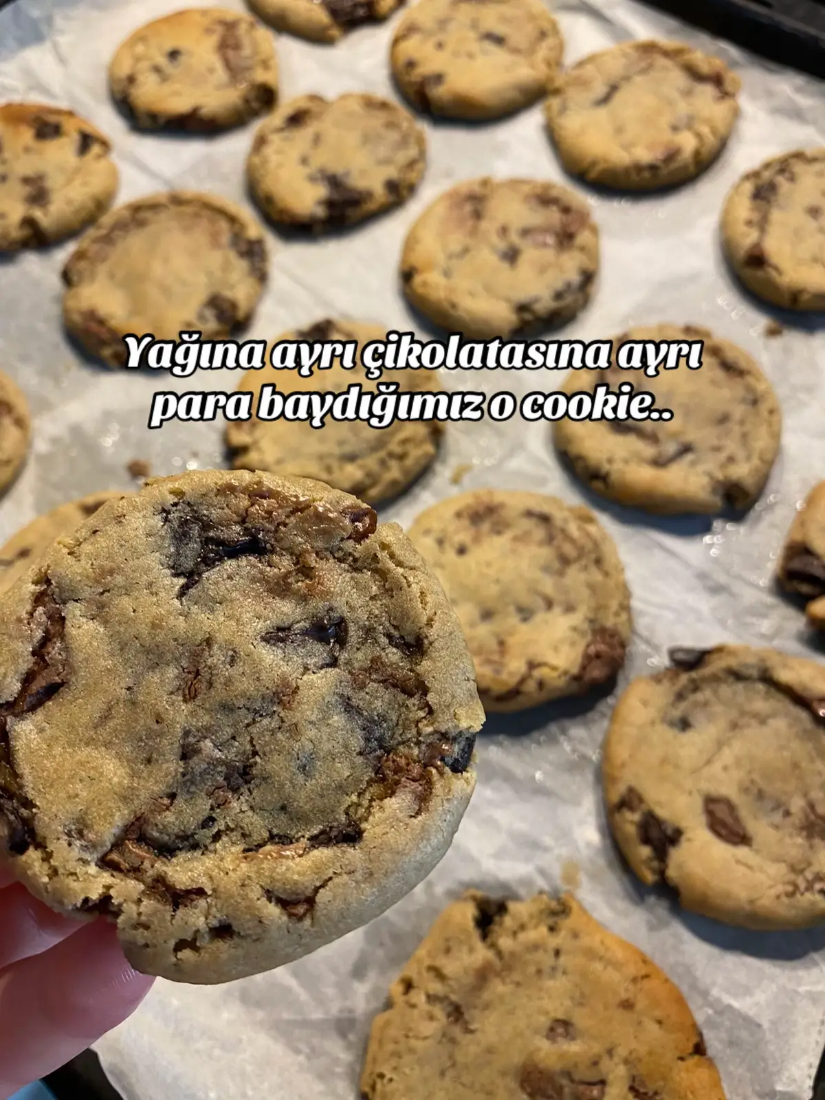 @AYŞE BİLGİN