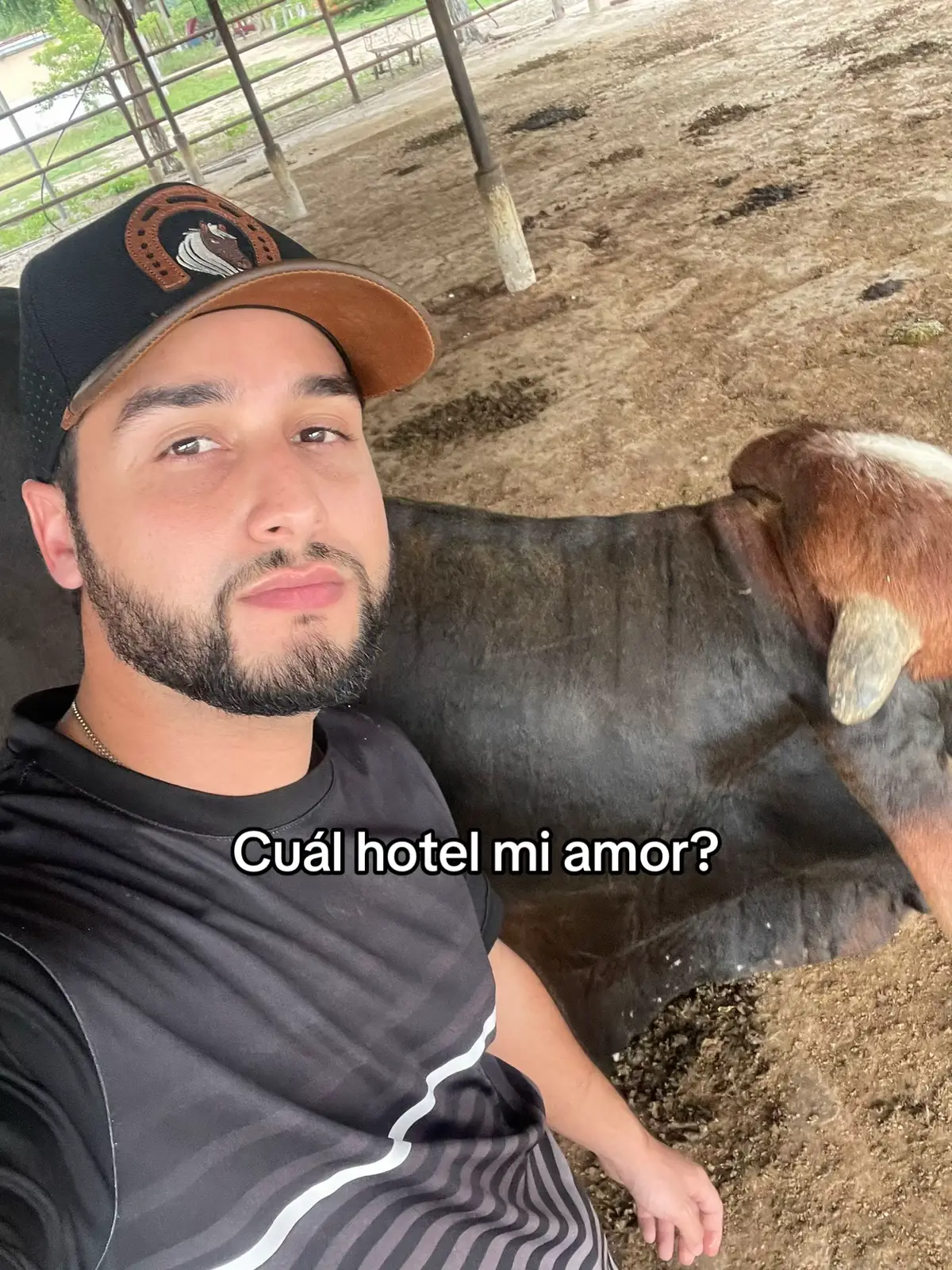 @Luis Fernando Silva 🐎🔥