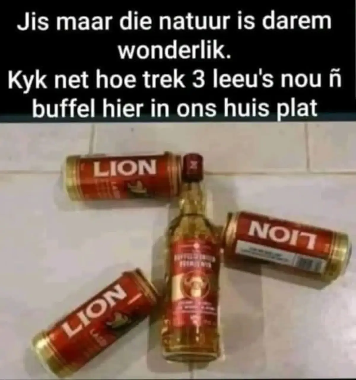 @Lulu 💪💪💯💯🏉🏉