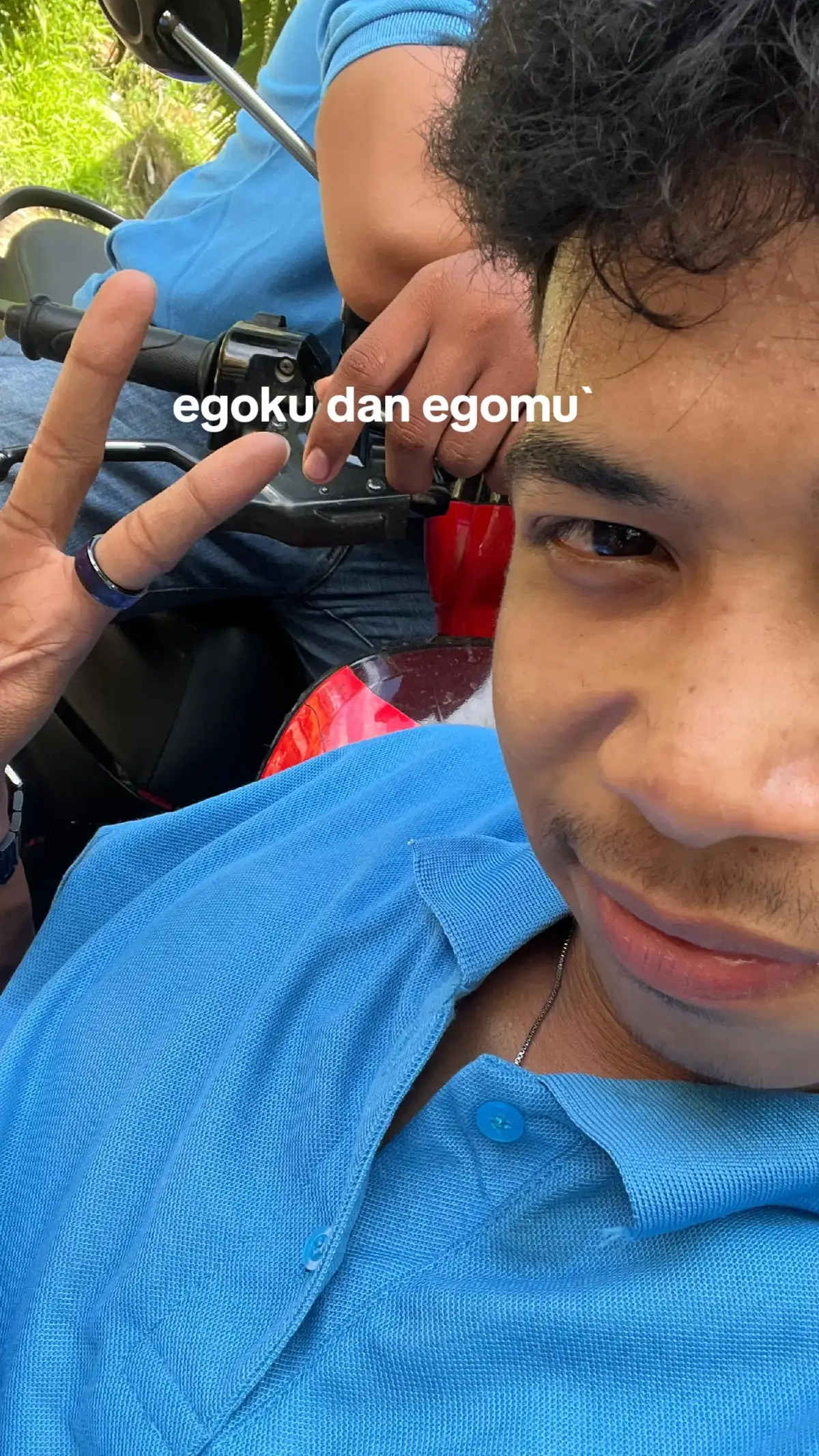 @Penguja🐊