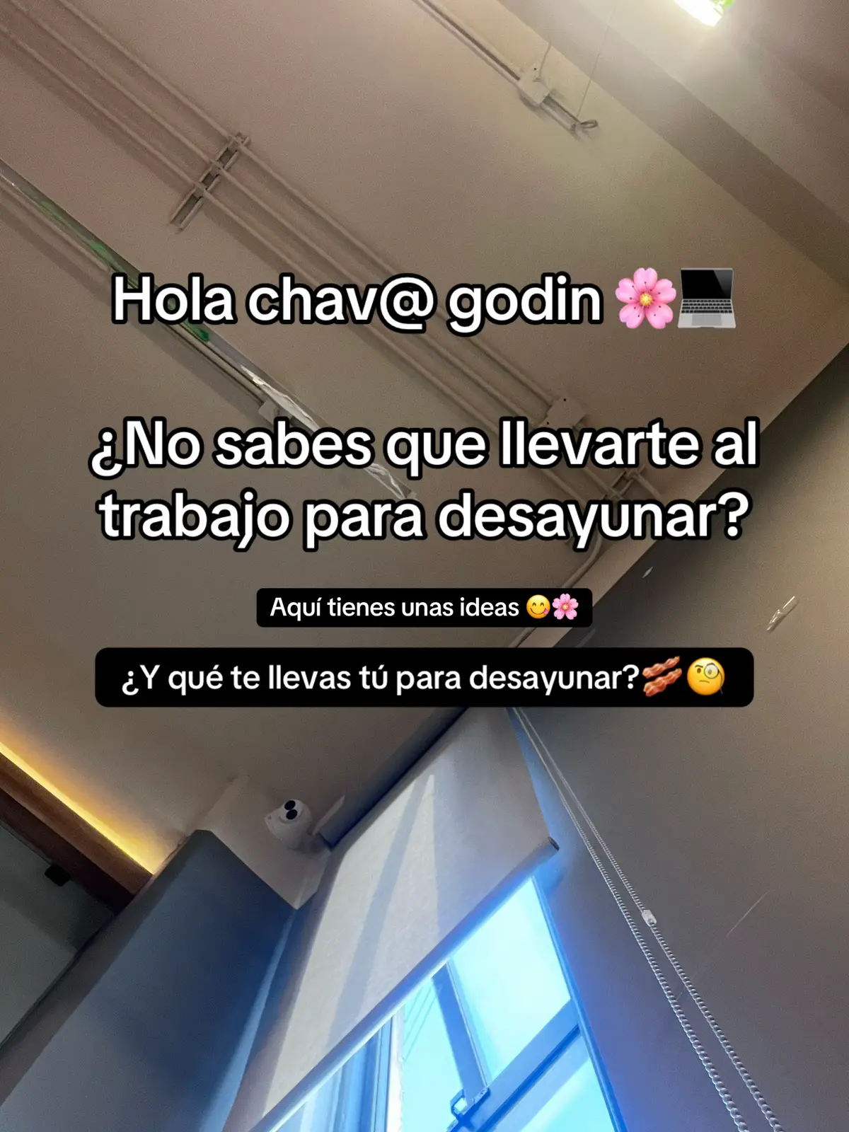 @Geral 🌸