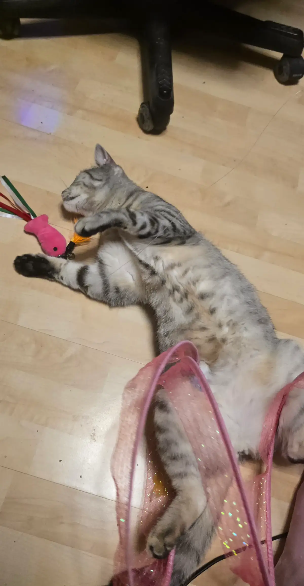@Karin-Catmama80