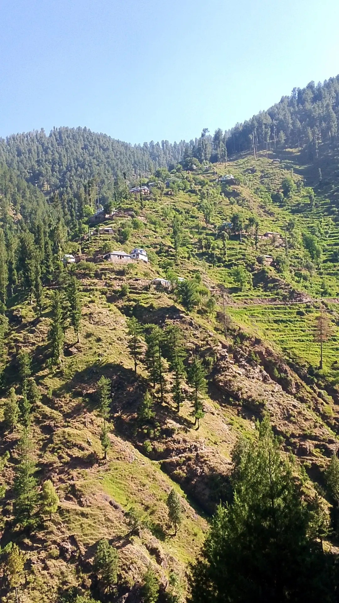 @M,Arshad kashmiri