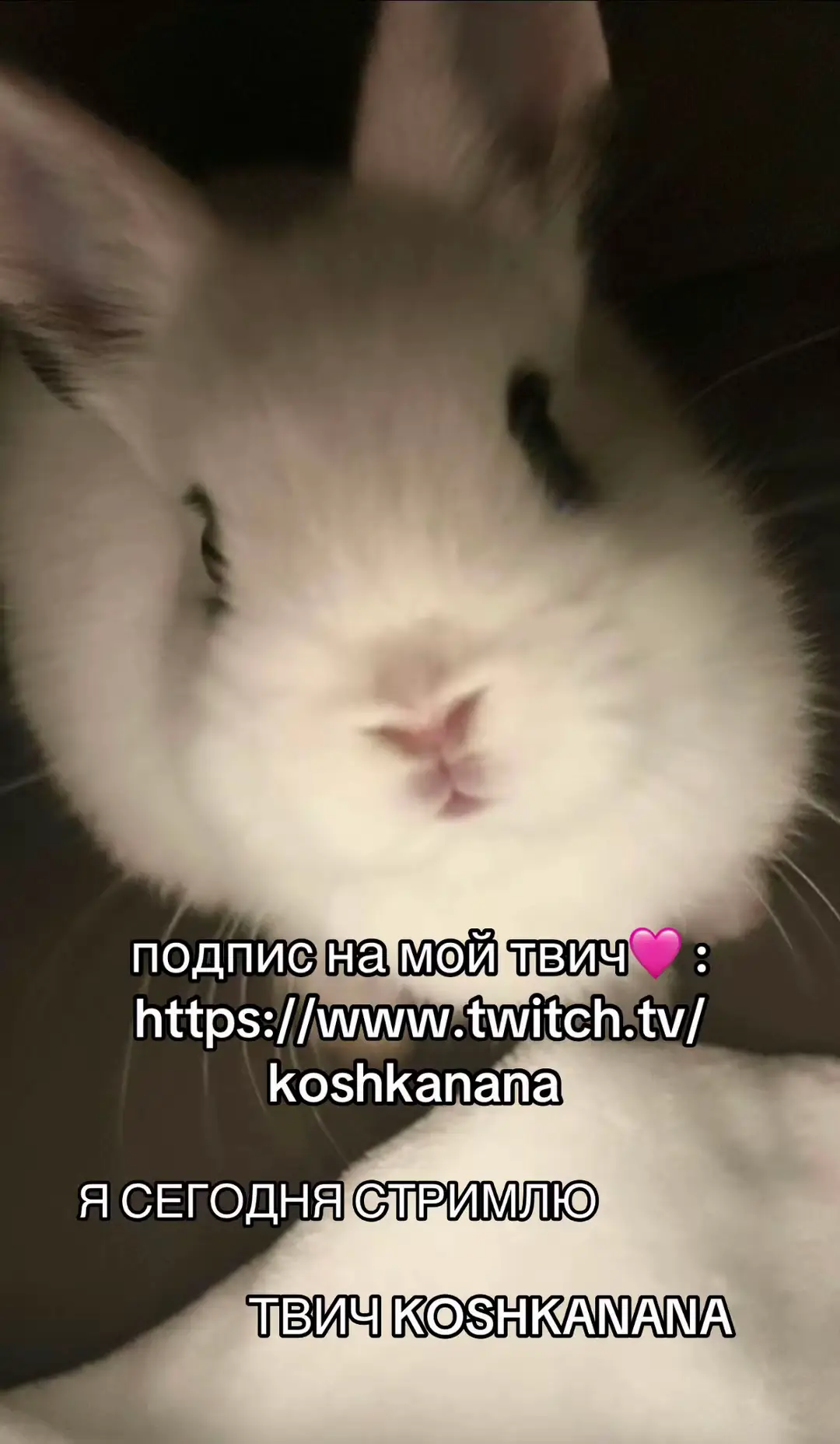 @nana