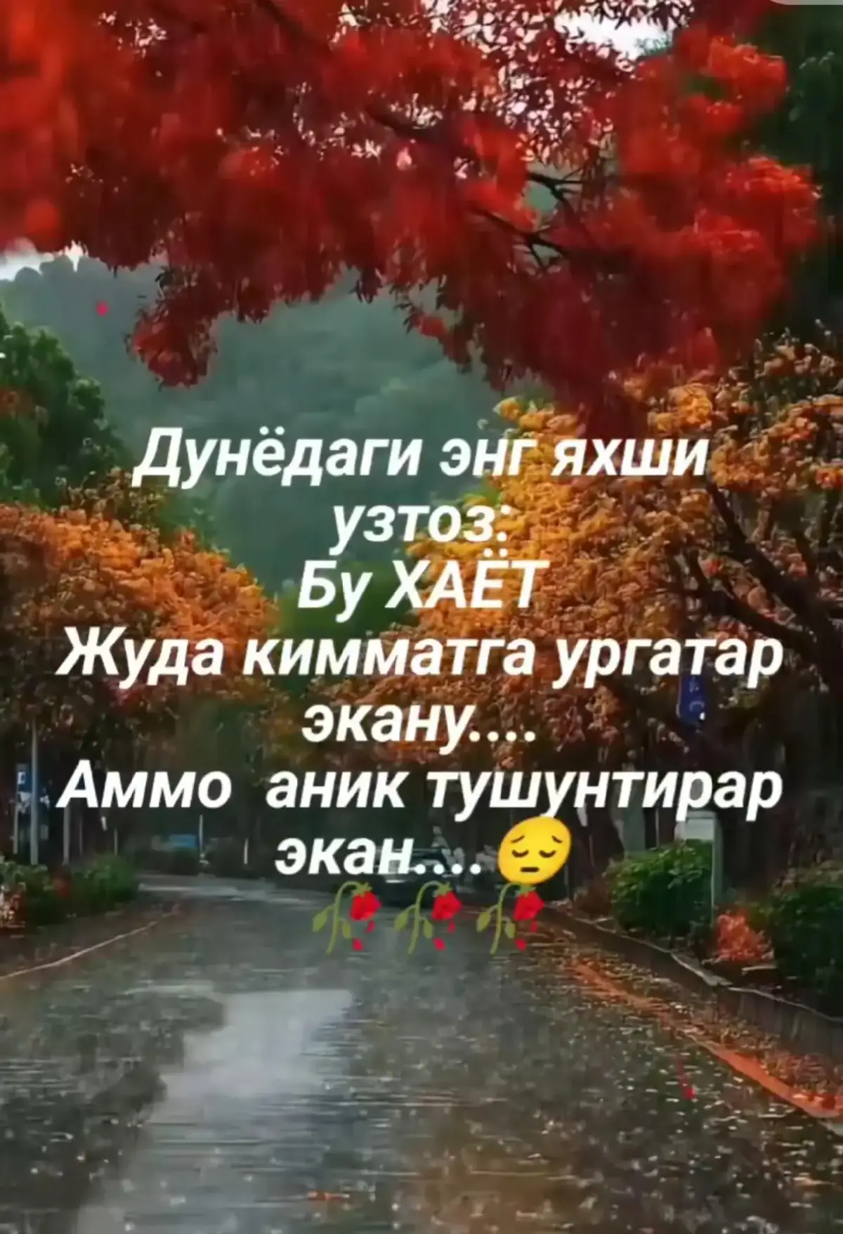 @❤️Alhamdulillah❤️