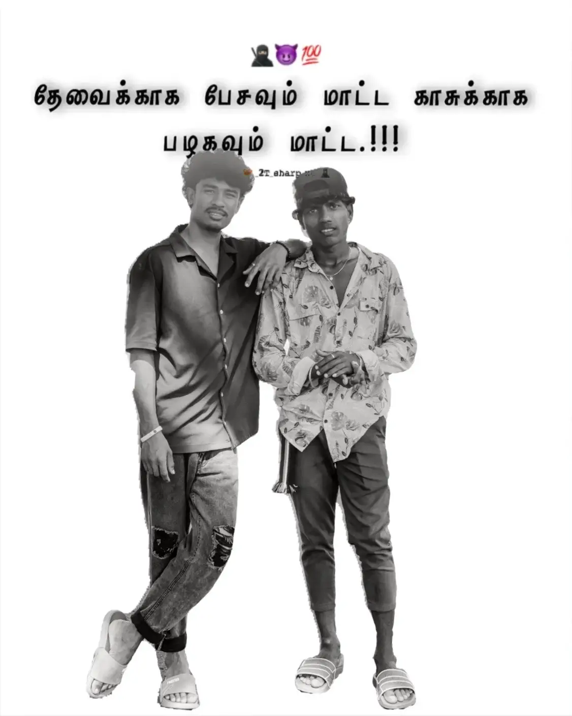 @Push 🐹kutty...🐈