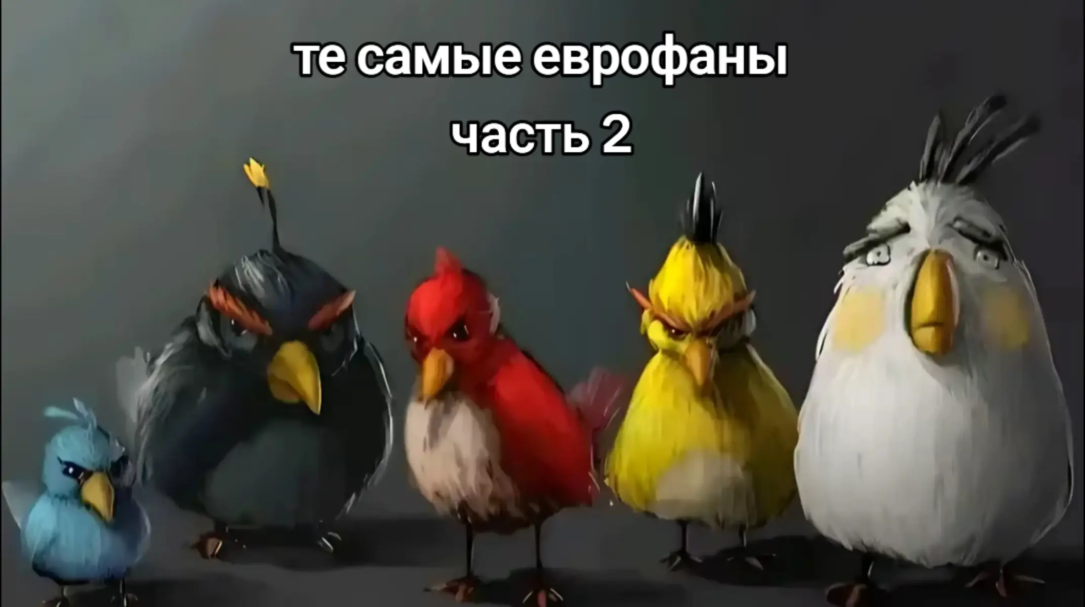 @Котяра в стране Еврочудес