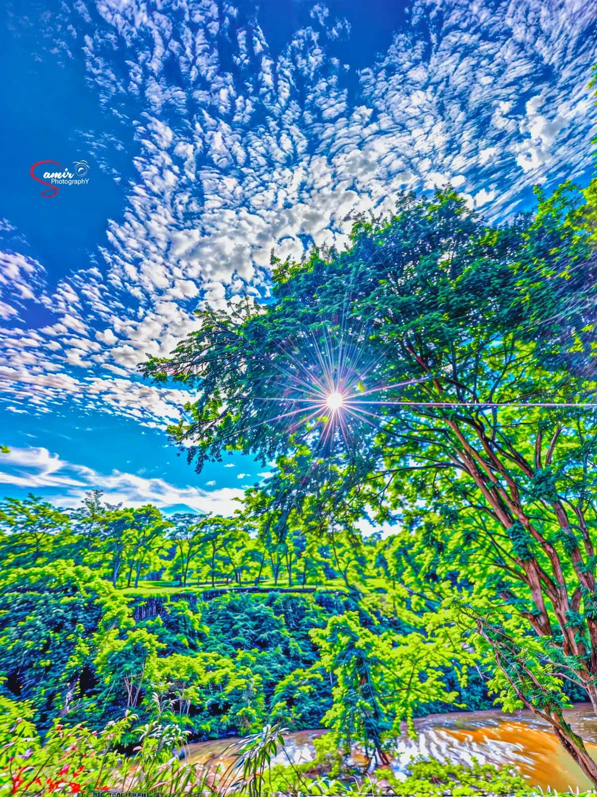 @SM__Editor__1✪
