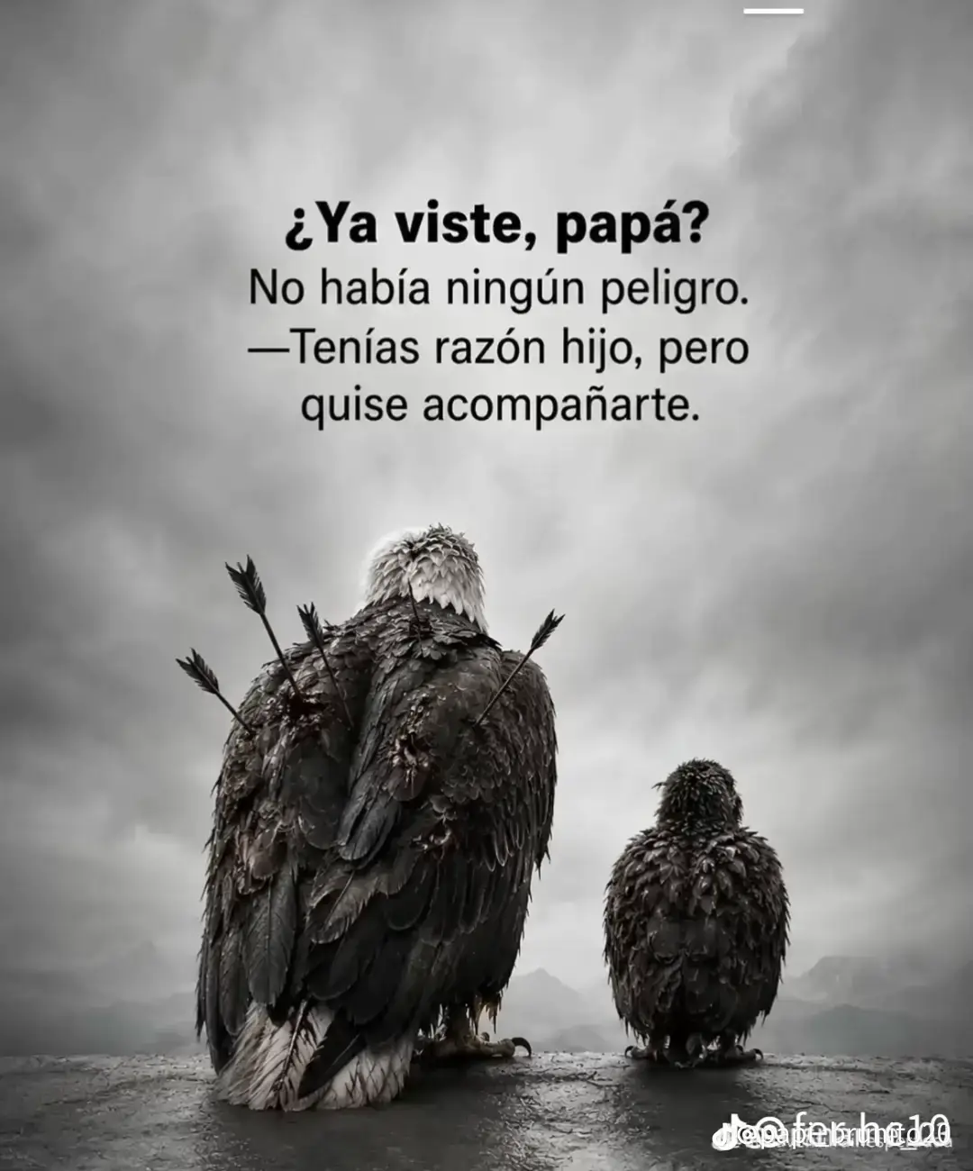 @DIANA MENDOZA