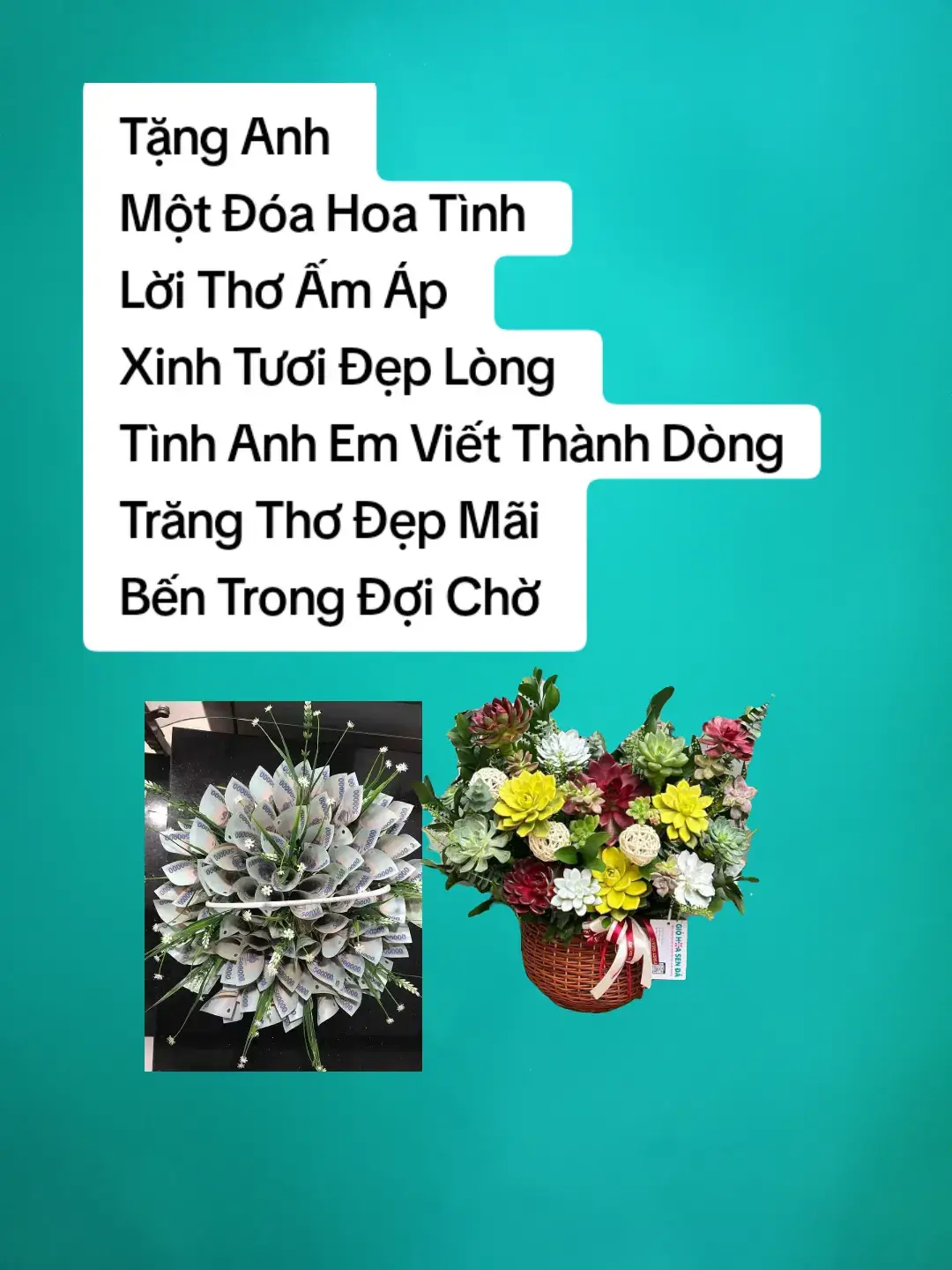 @như ngọc 588