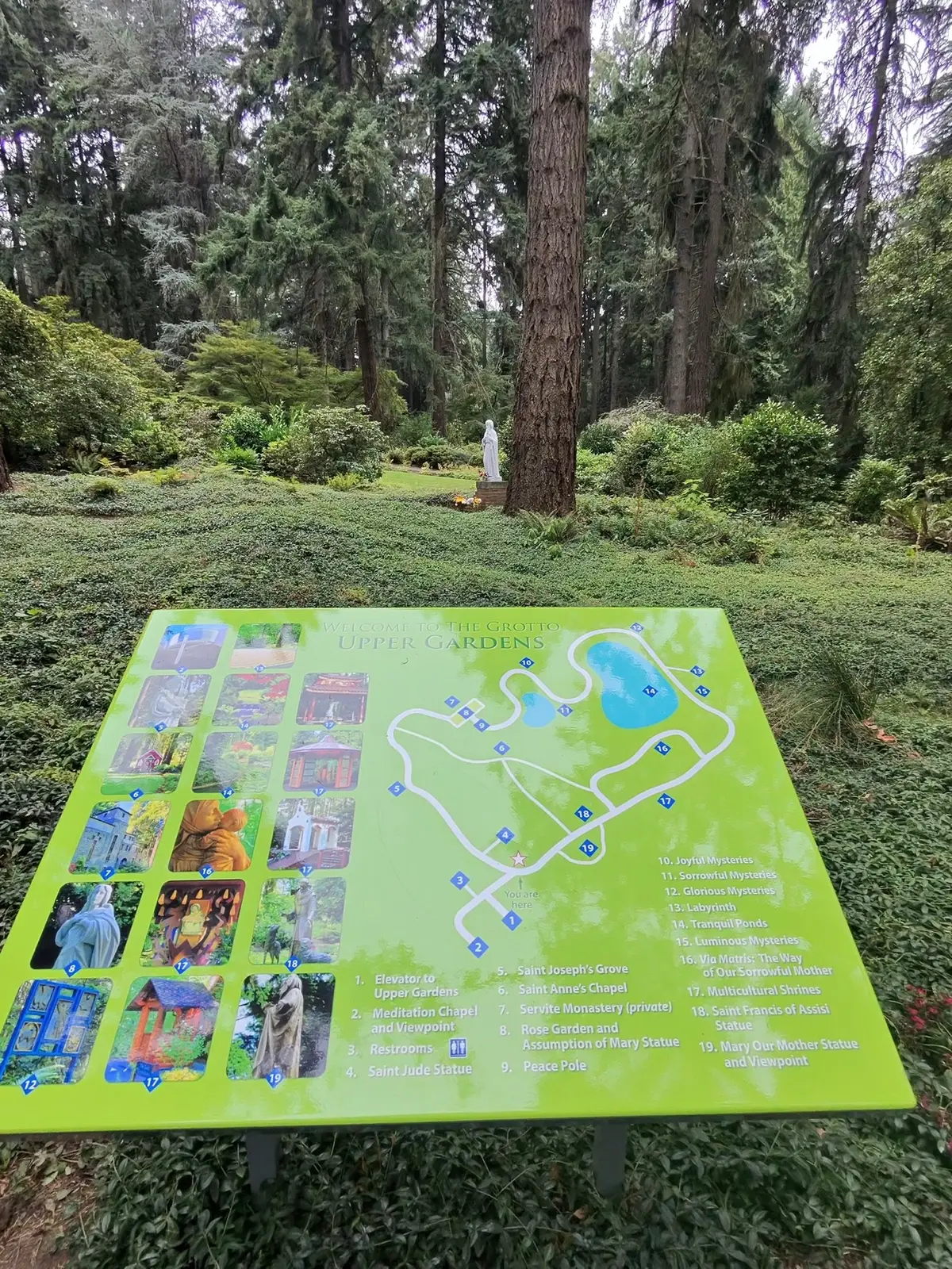 @3dx777