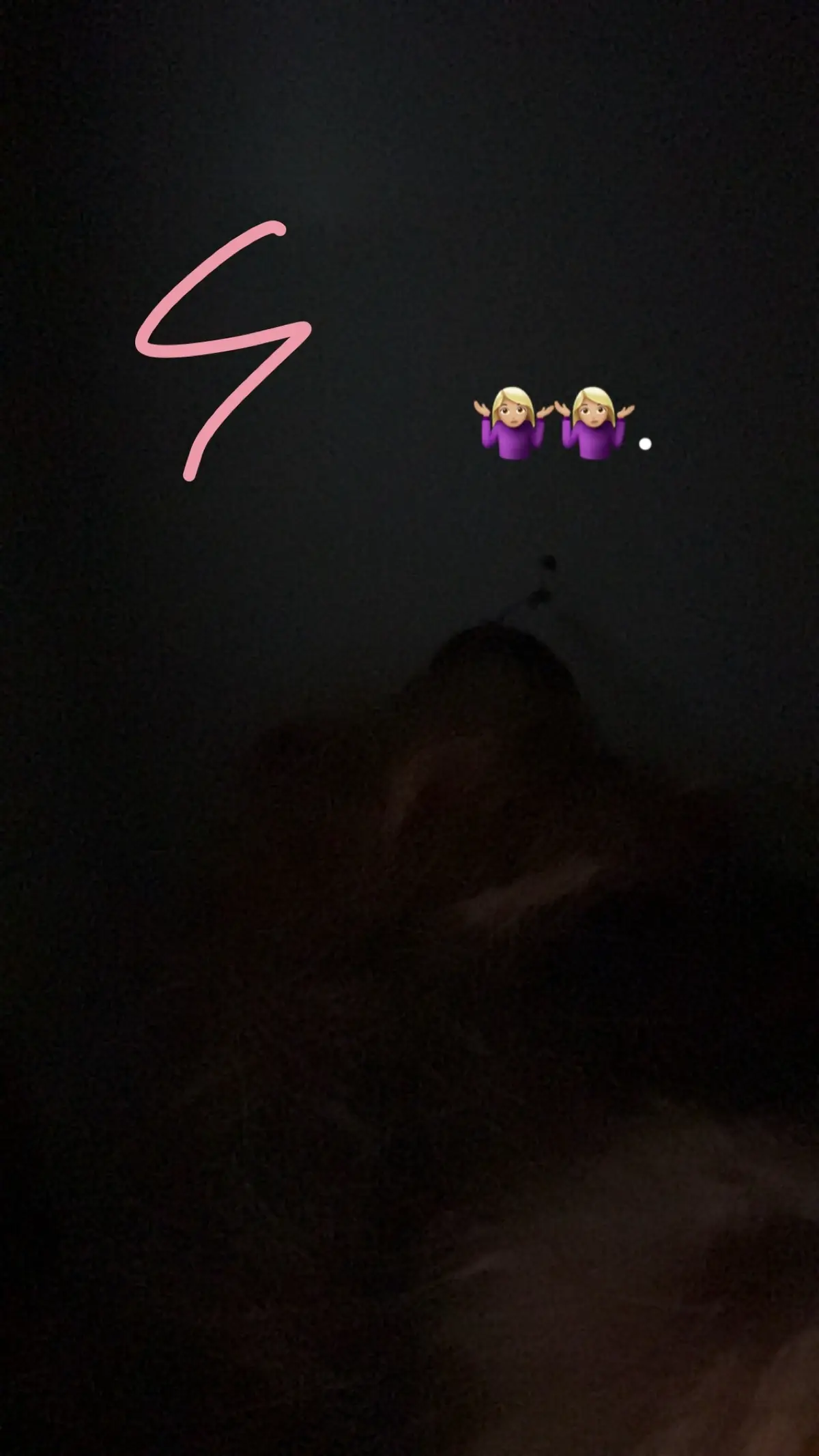 @itshaleyyy_