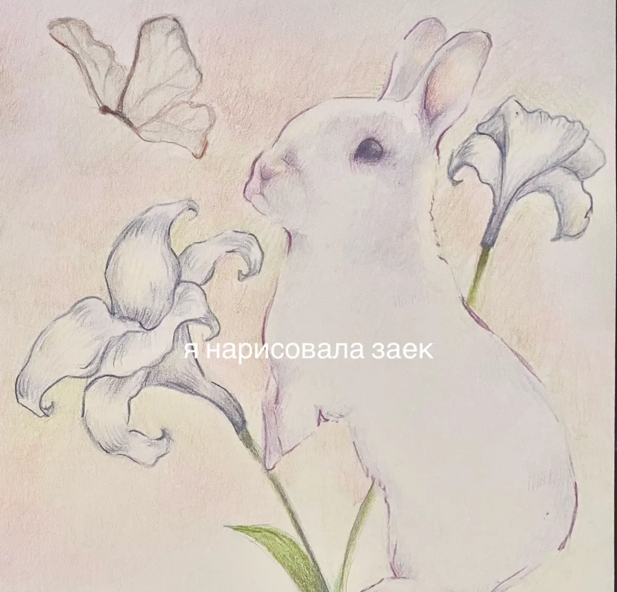 @соня я