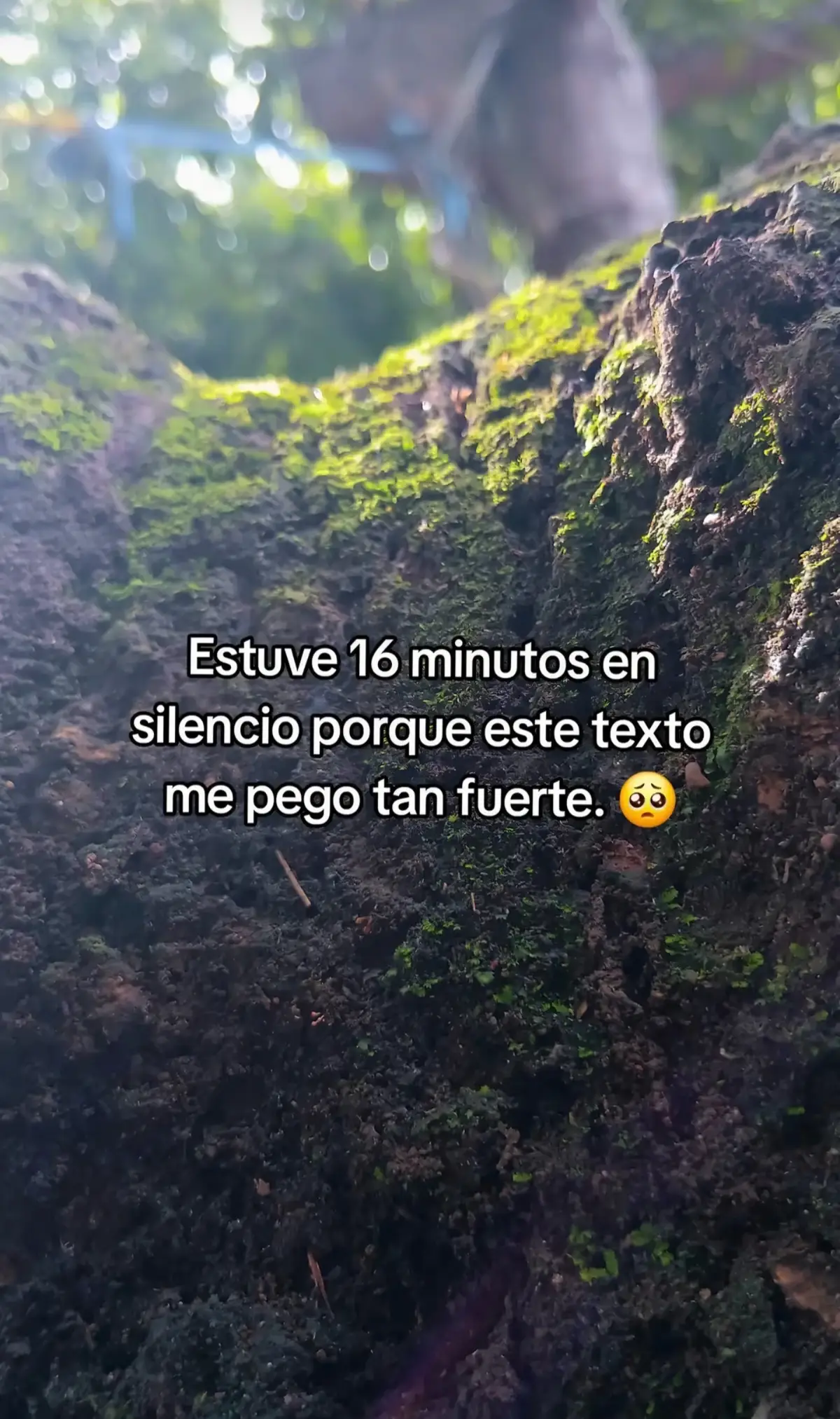 @alexander___espinal