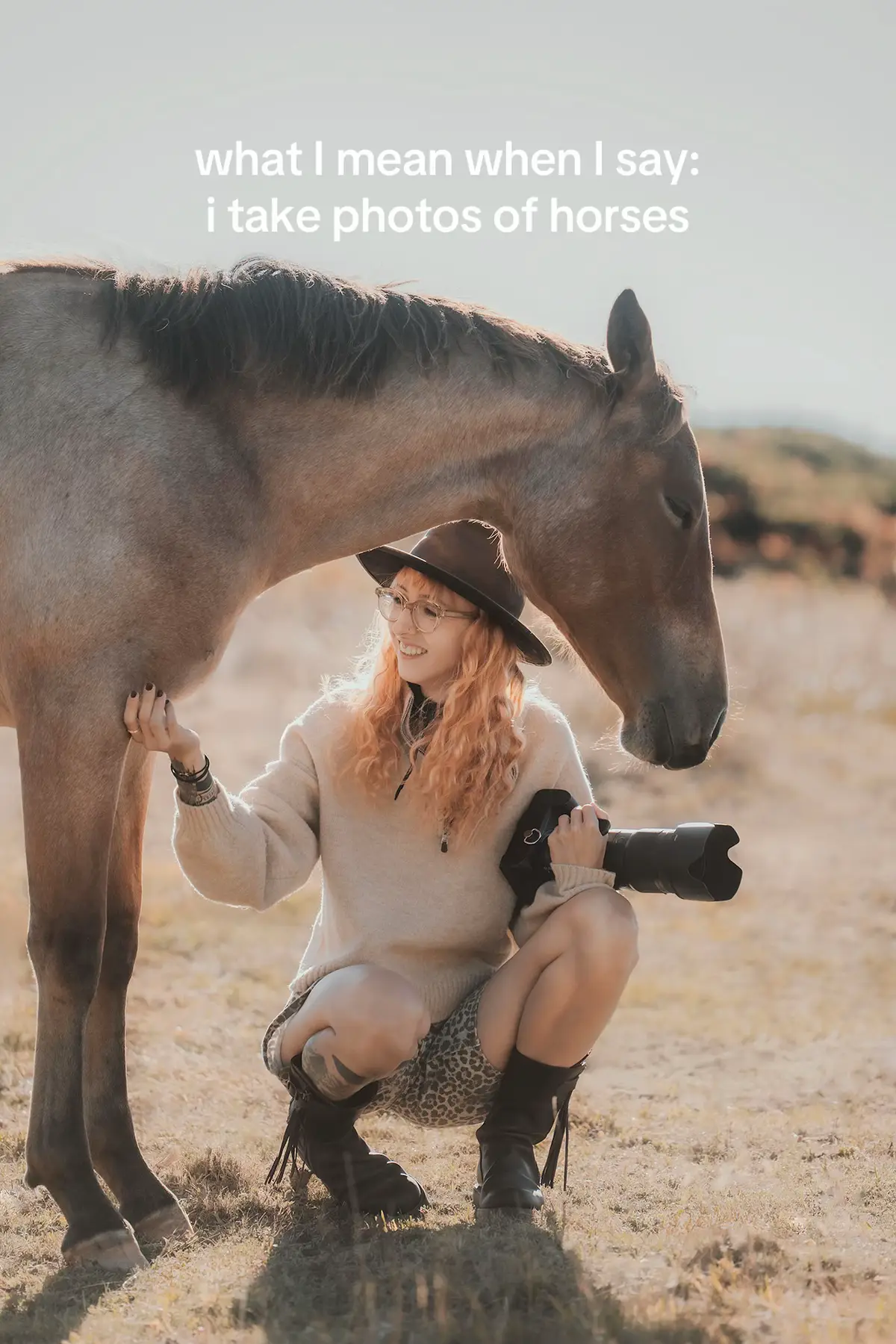 @Lorea ☾ Equine Imagery