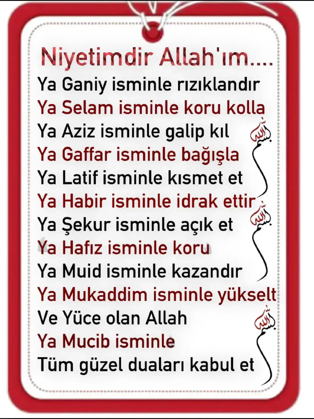 @şeenol Albayrak