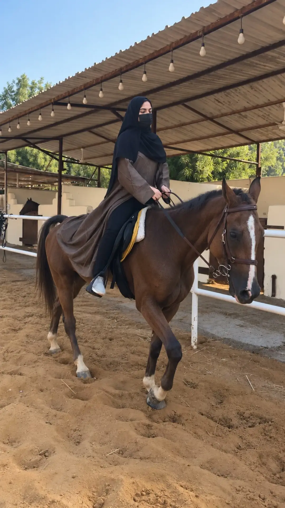 @Ameera FRT 🐎