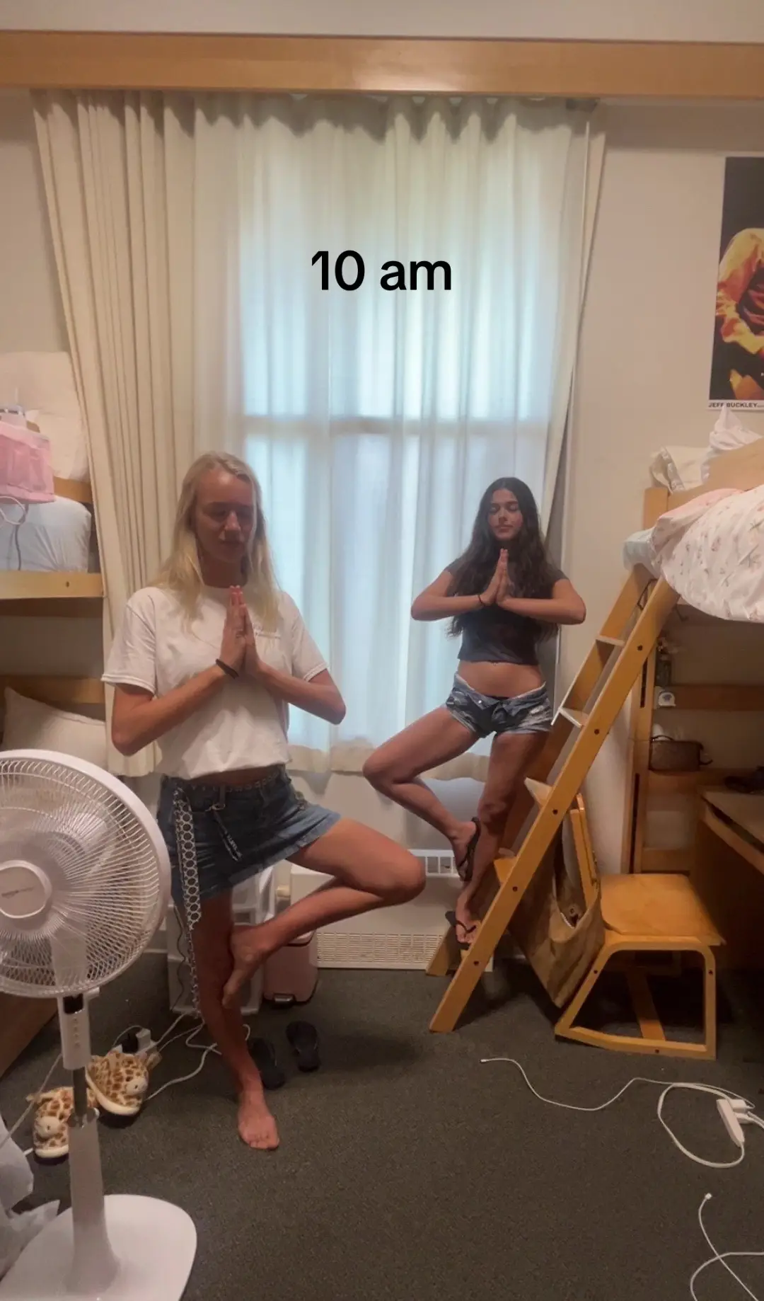 @alexis