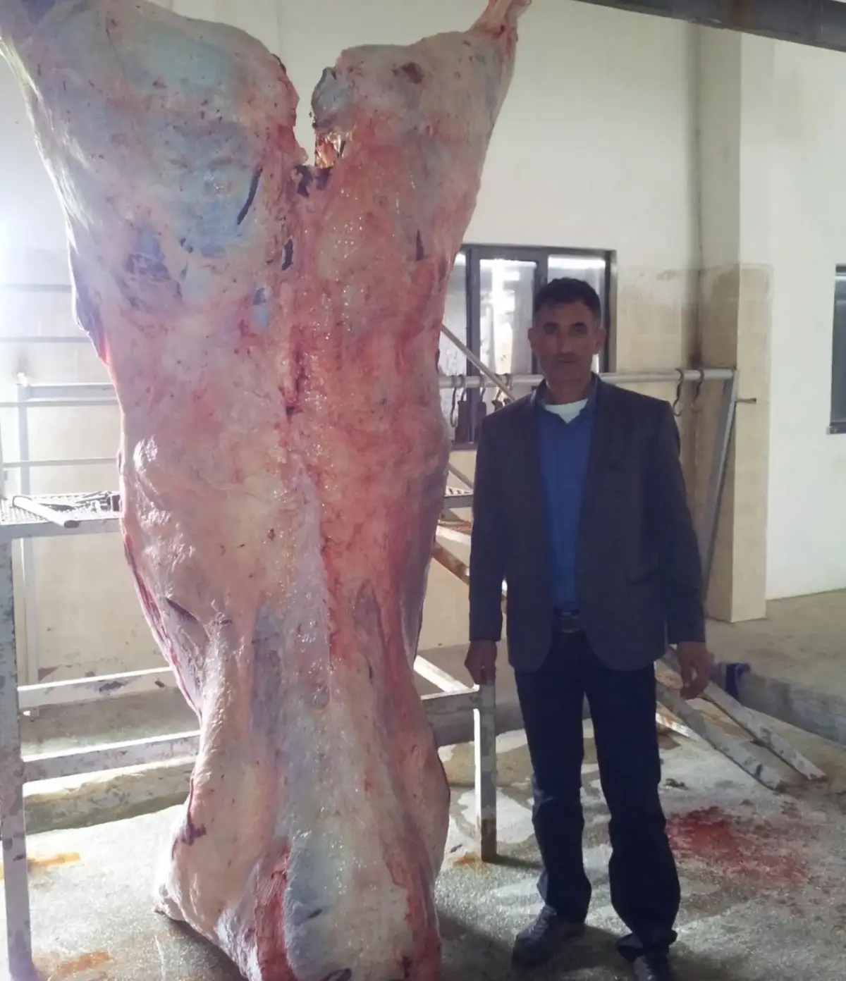 @baba yorgun