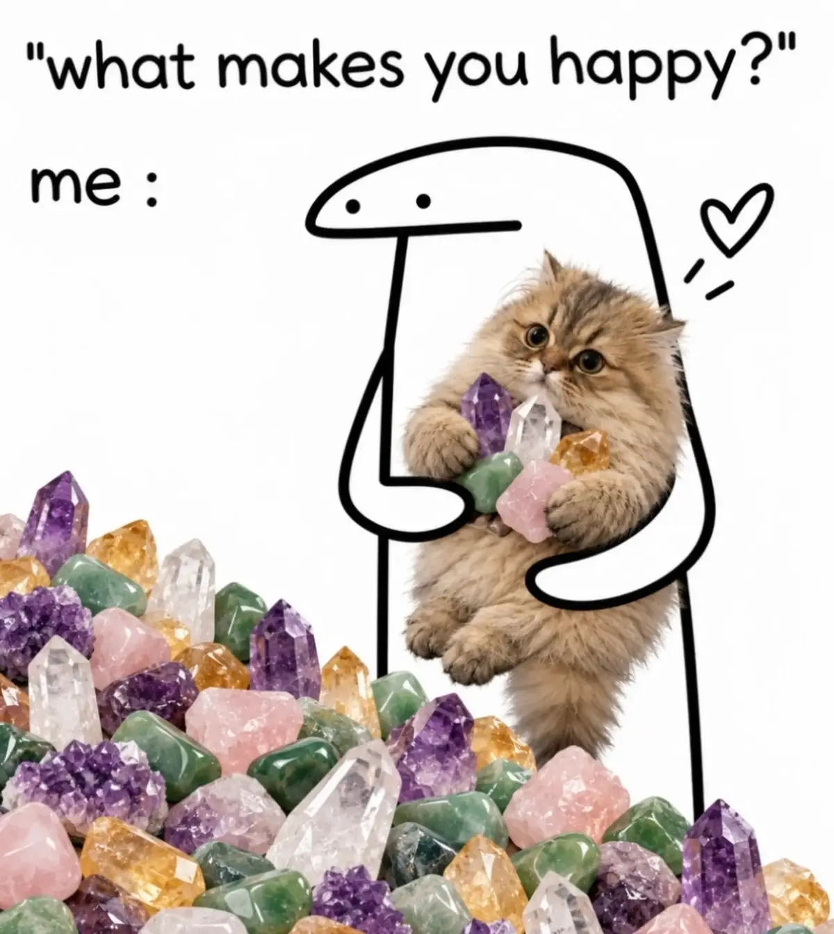 @Rainbowshit13🌺