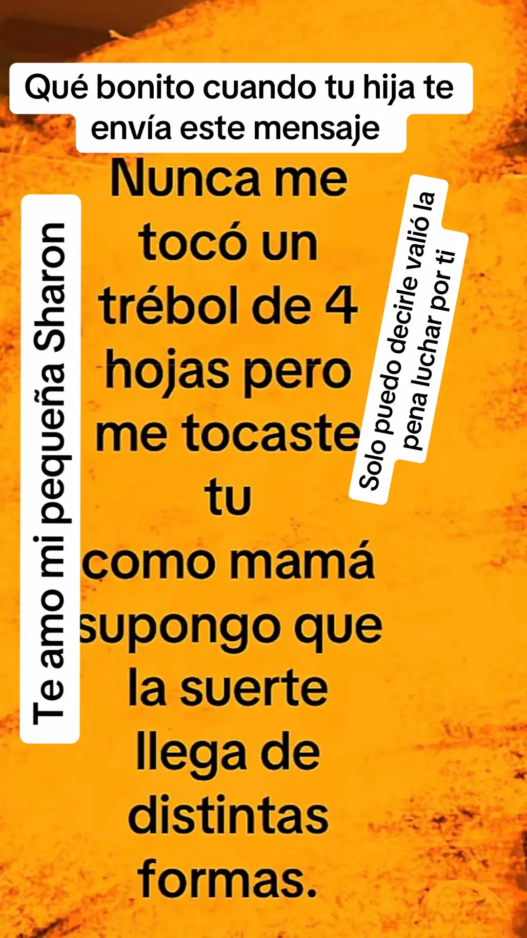 @Carmen Tom&aacute;s 13