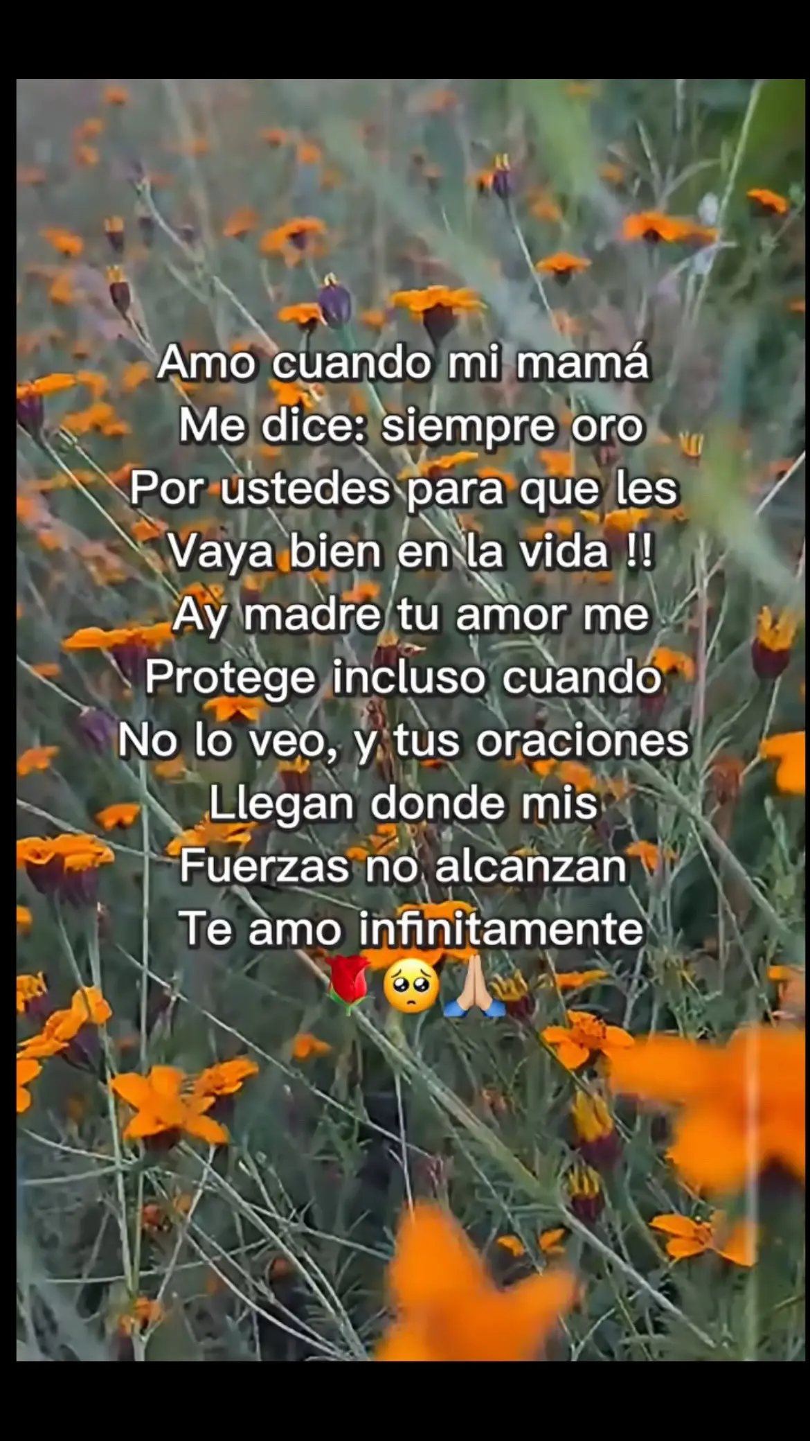 @Pedro Cruz