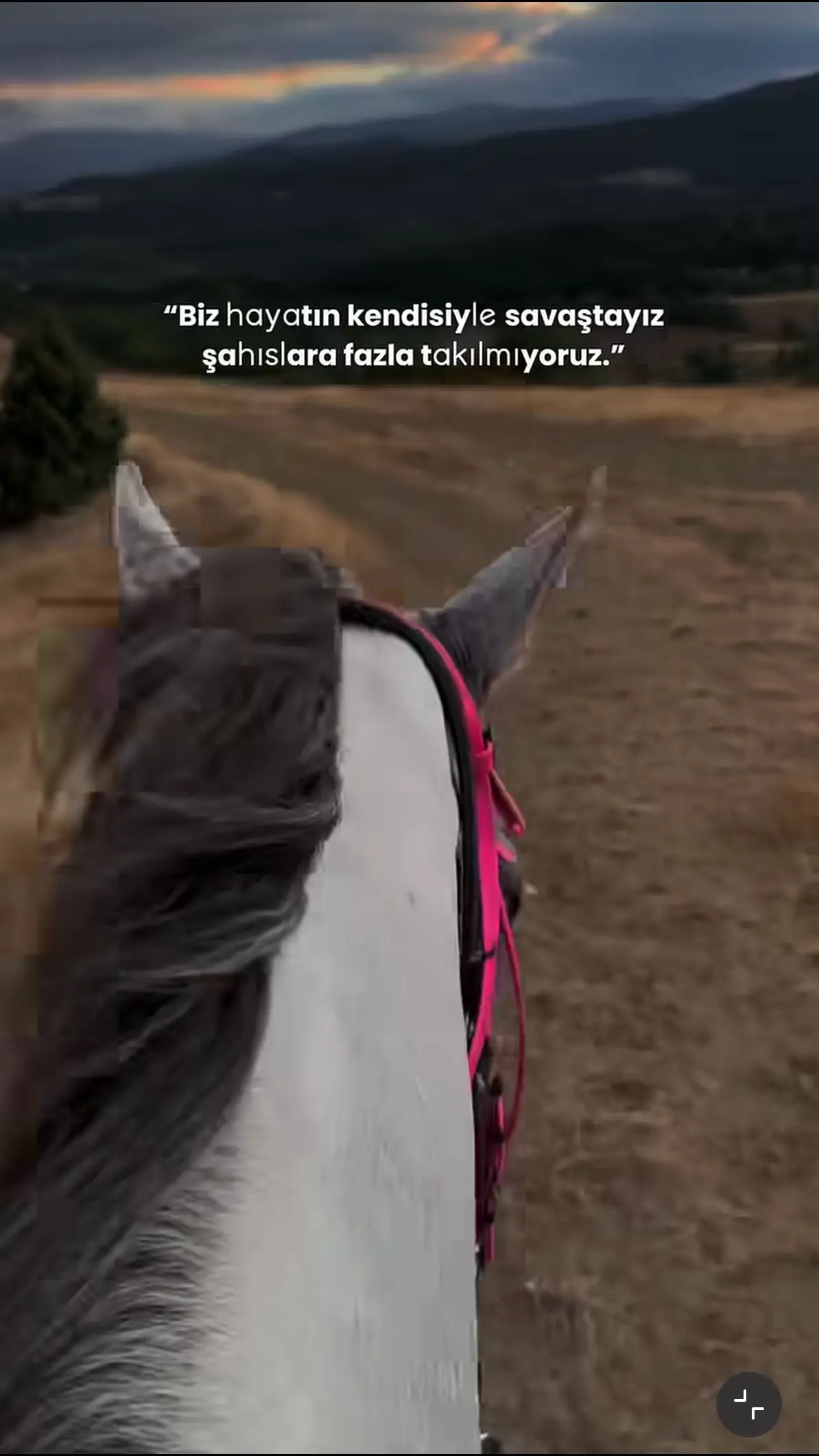 @Bülent ERKUŞ
