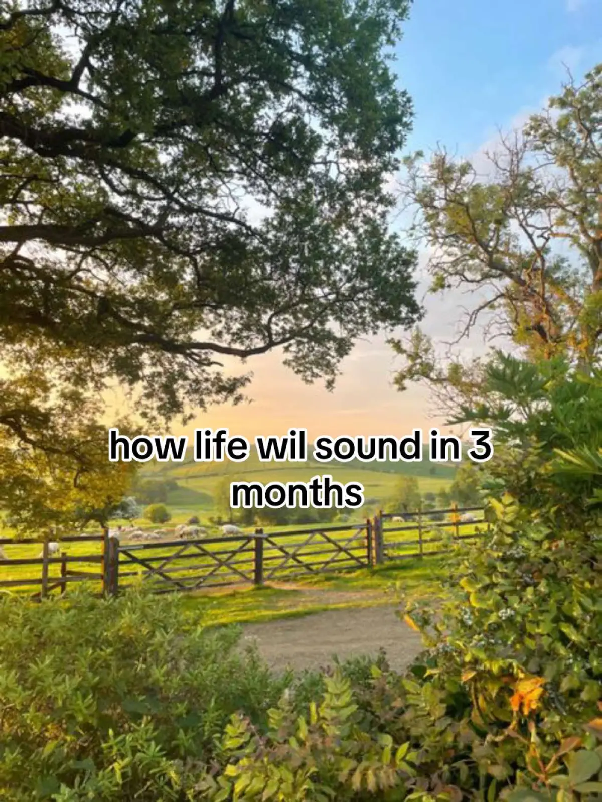 @𝖆𝖘𝖇𝖔_𝖈𝖍𝖝𝖞