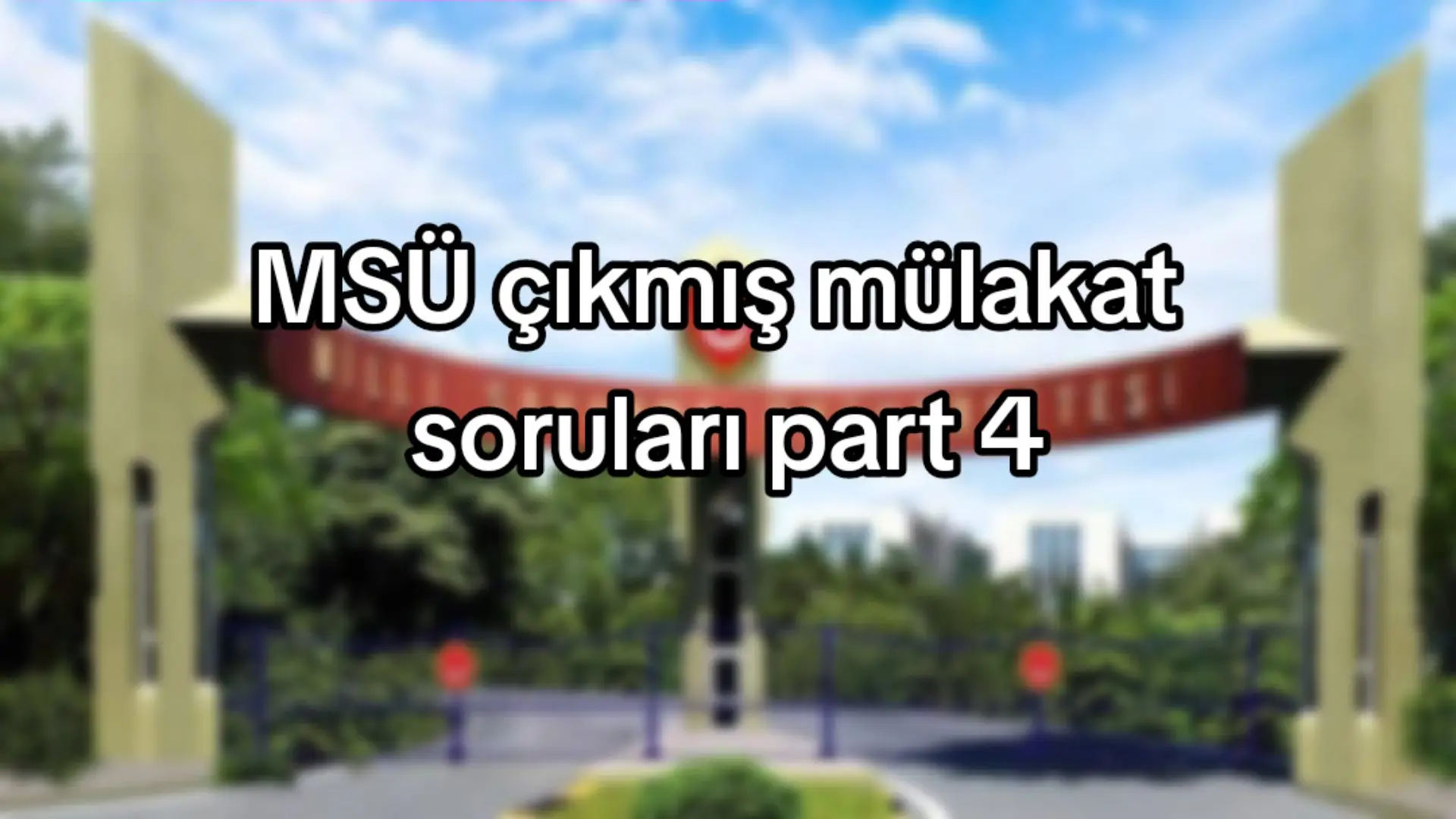 @msu.rehberim
