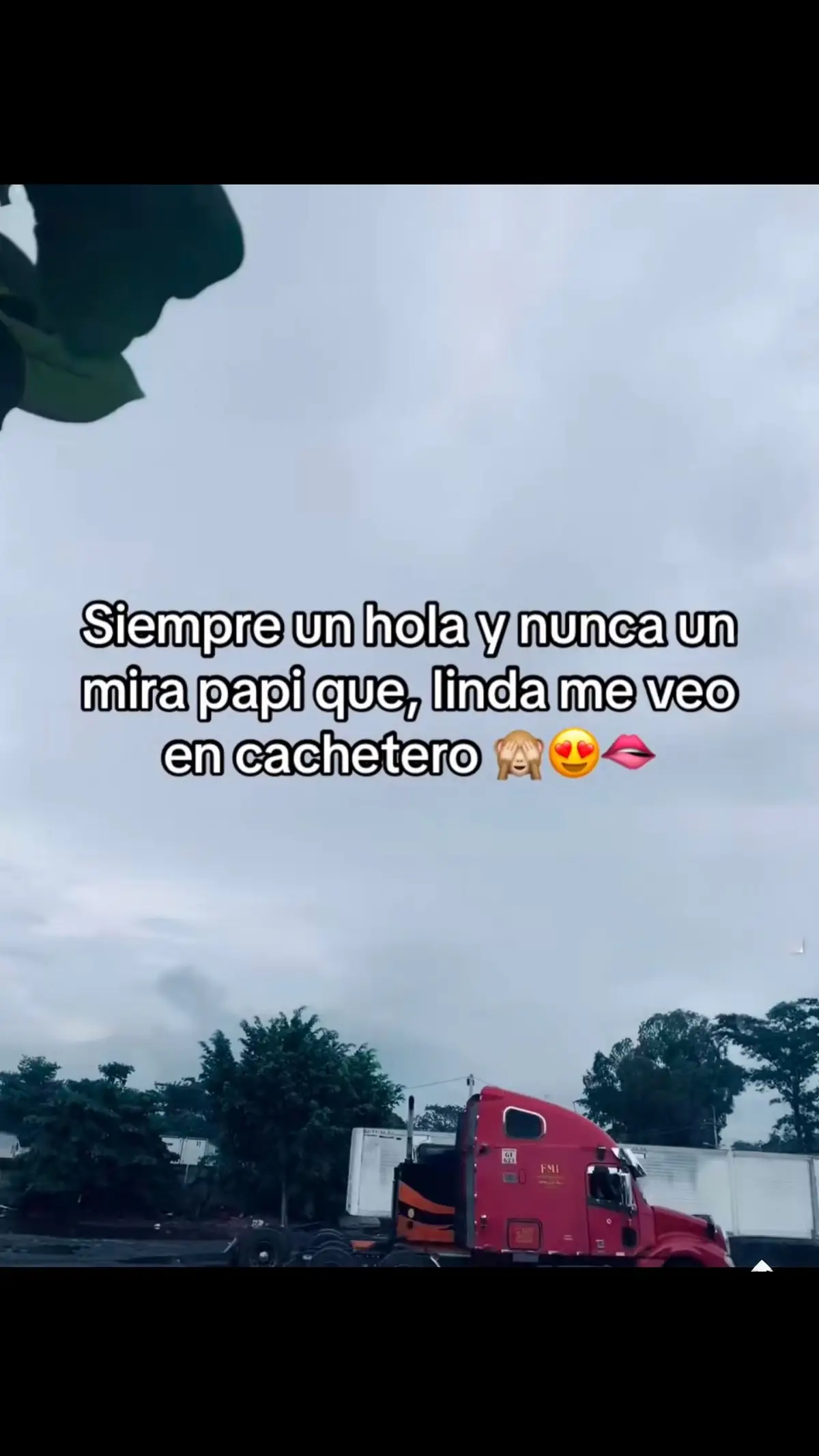@Joel Fnzk