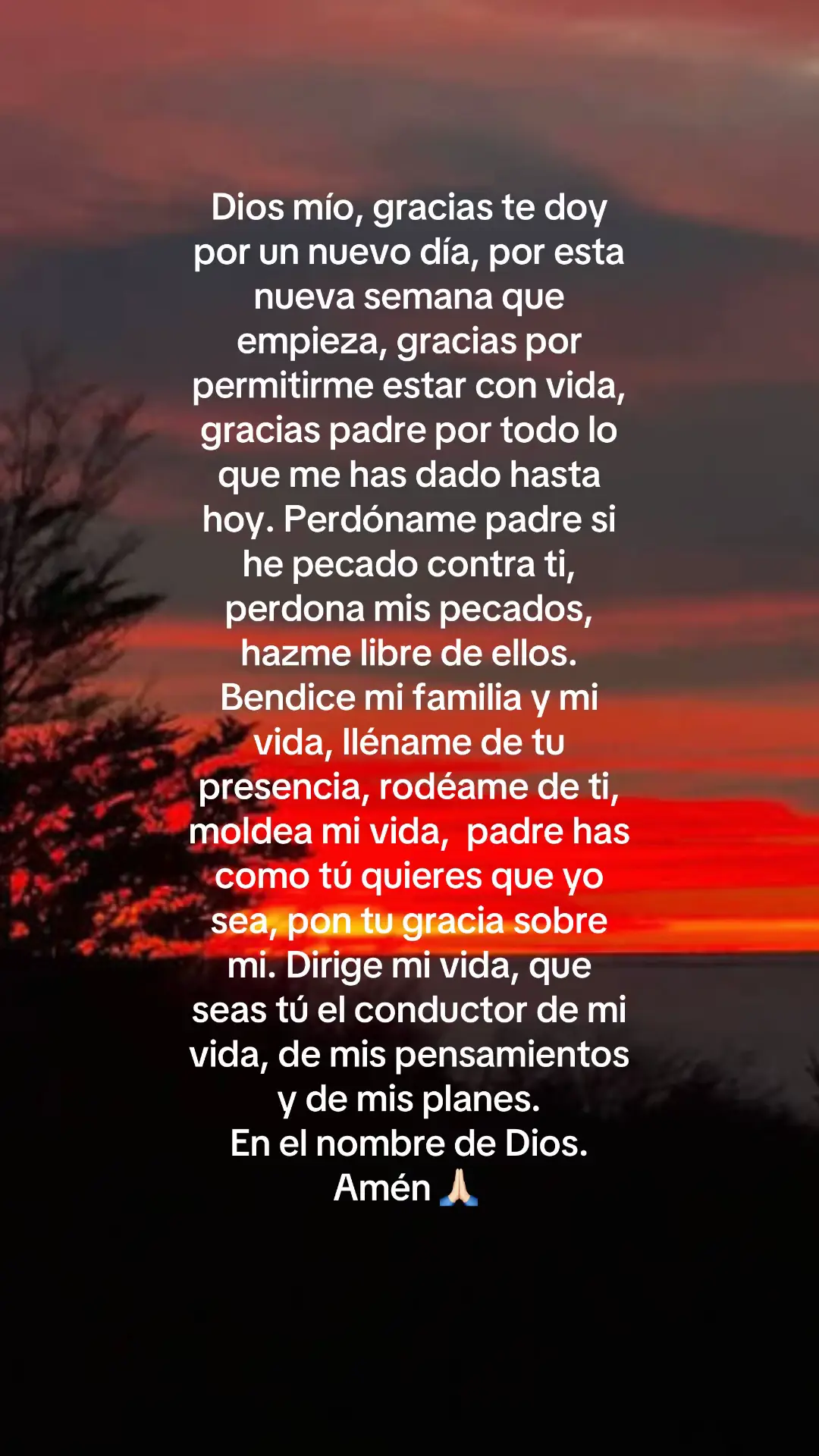@Beatriz A .