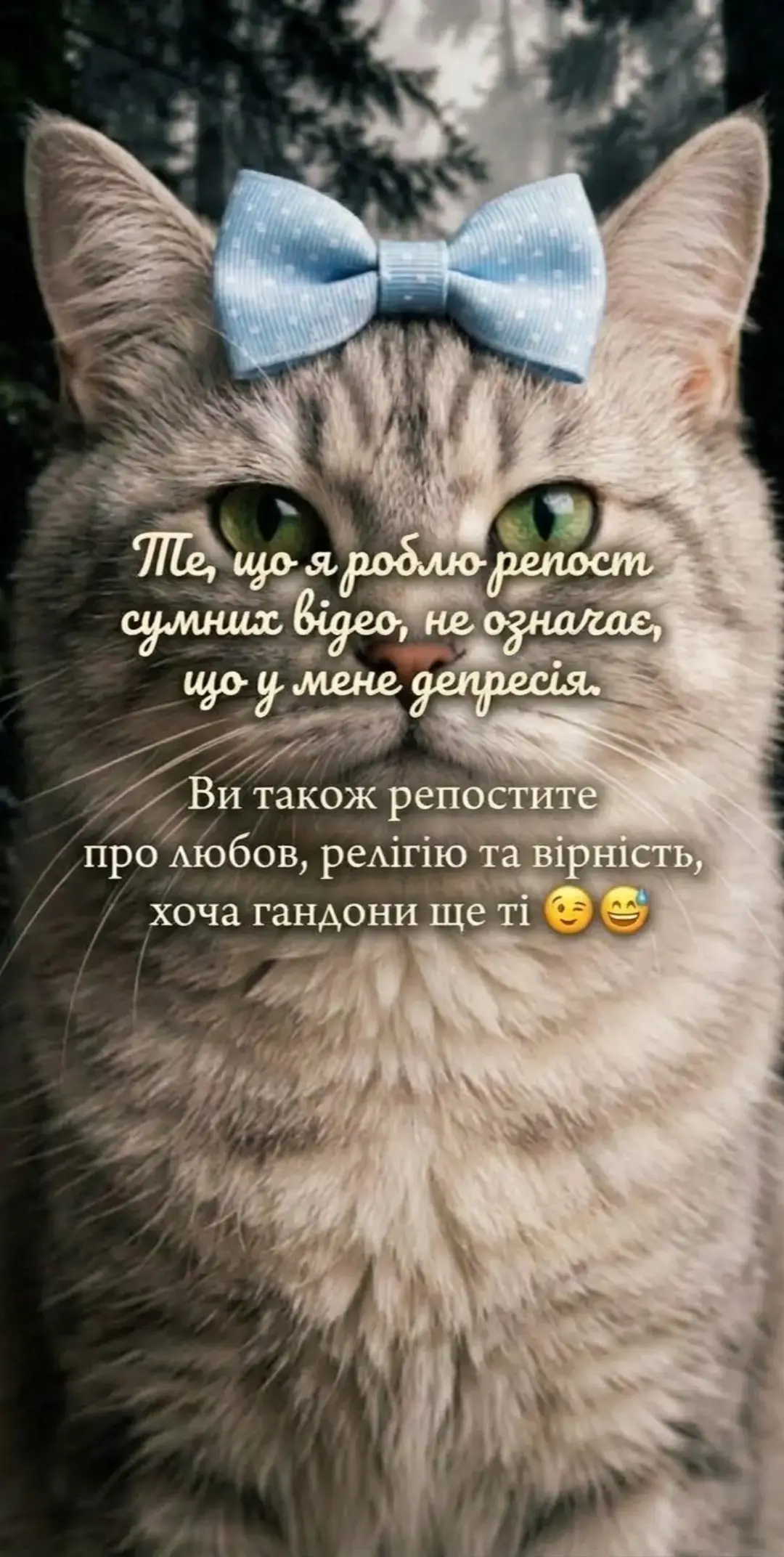 @Киця Бабина