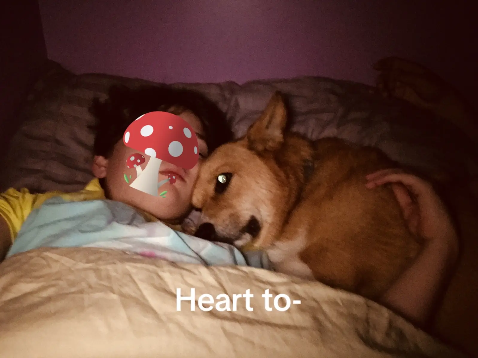 @Z