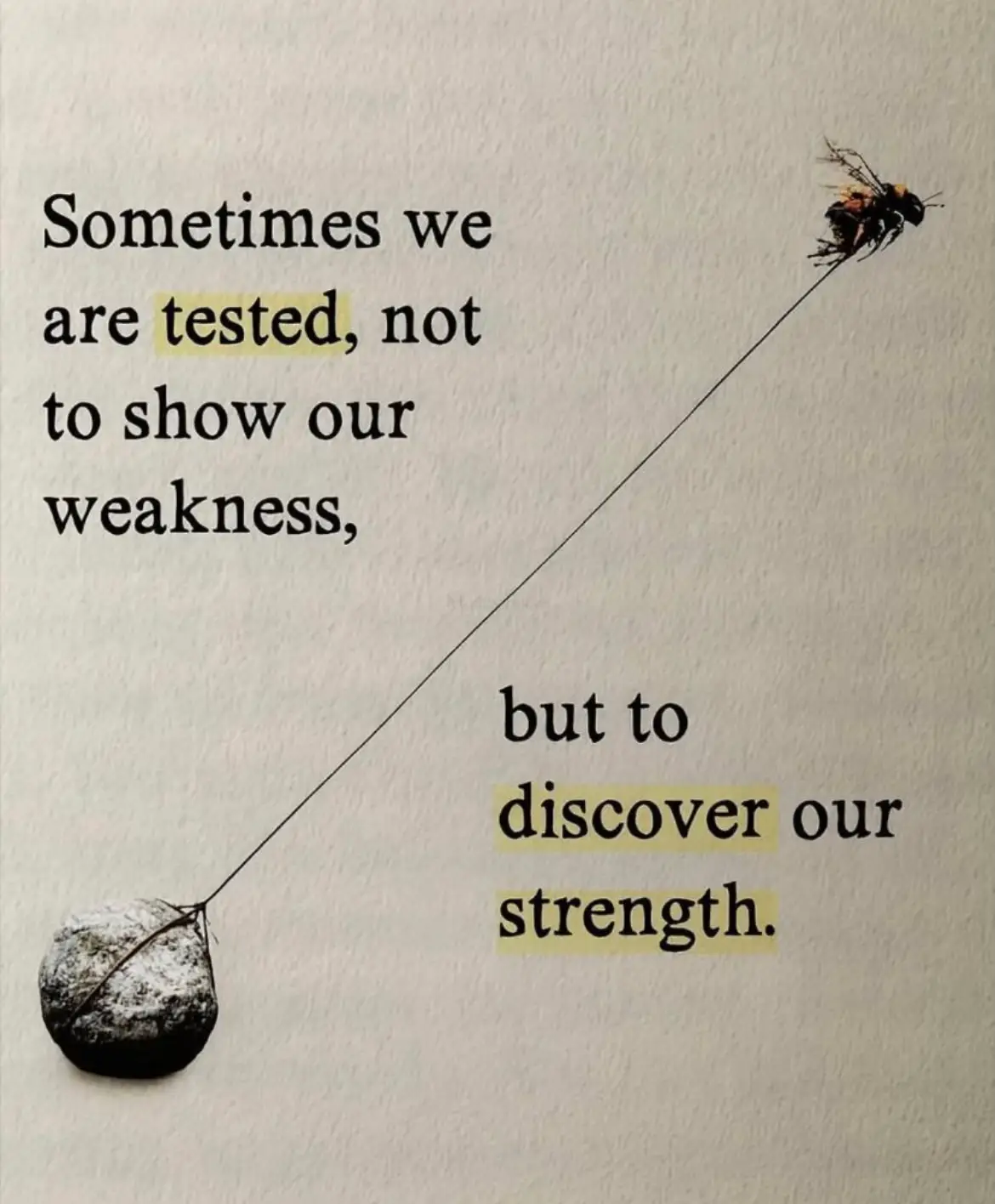 @vulnerableveterans